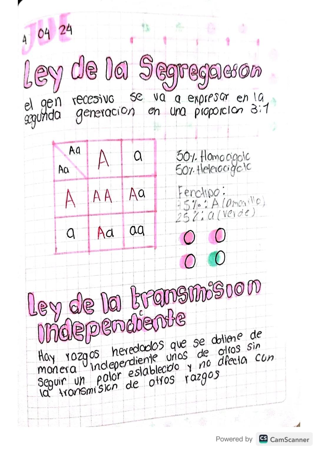 So
21 03 24
Leyes de mall
mende
Transmision de las caracteristicas de una
generacion a atra
Alelo s
дрод
•Representan las distintas varia
Ci