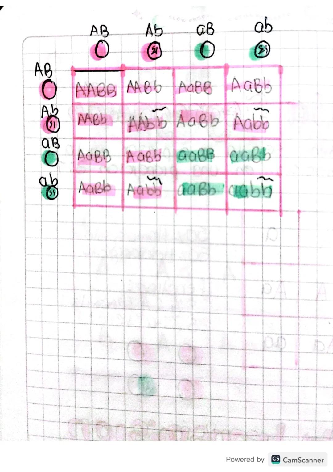 So
21 03 24
Leyes de mall
mende
Transmision de las caracteristicas de una
generacion a atra
Alelo s
дрод
•Representan las distintas varia
Ci