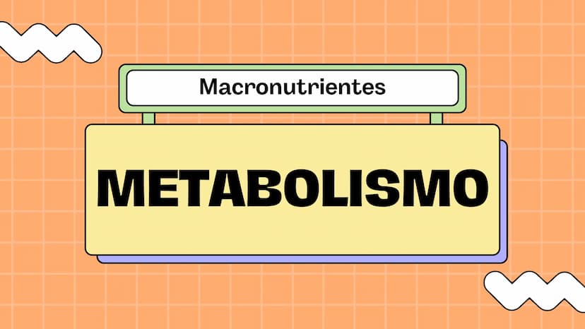 Macronutrientes
METABOLISMO Metabolismo carbohidratos
Se define como metabolismo
de los carbohidratos a los
procesos bioquímicos de
formació