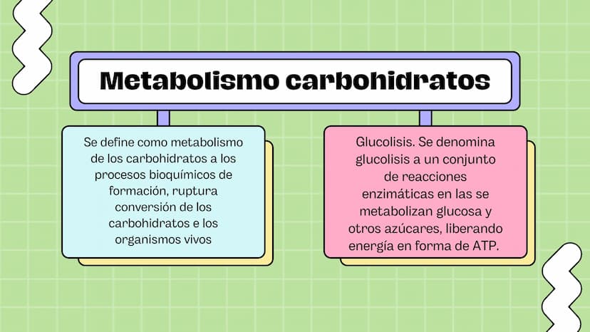 Macronutrientes
METABOLISMO Metabolismo carbohidratos
Se define como metabolismo
de los carbohidratos a los
procesos bioquímicos de
formació