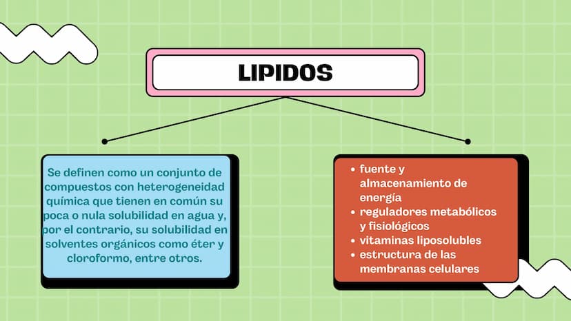 Macronutrientes
METABOLISMO Metabolismo carbohidratos
Se define como metabolismo
de los carbohidratos a los
procesos bioquímicos de
formació