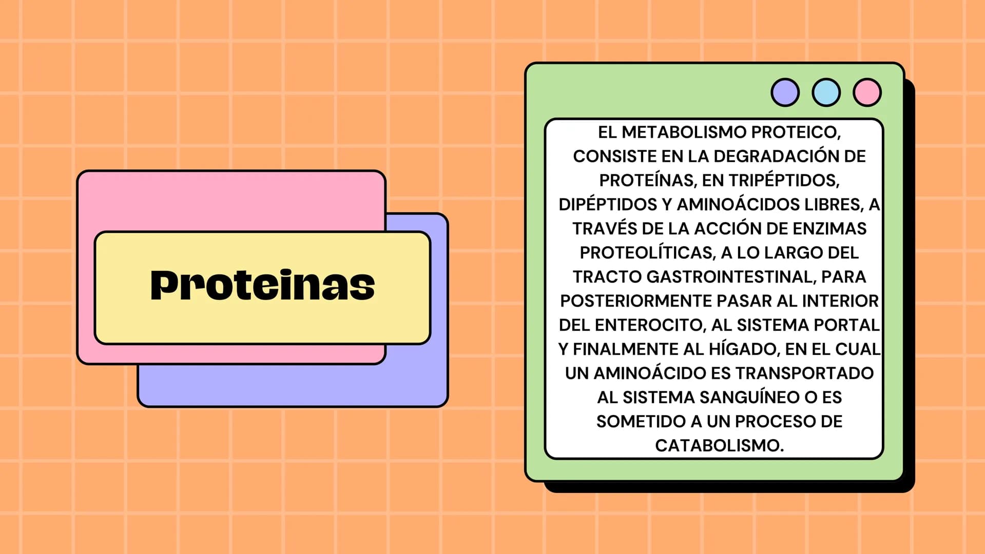 Macronutrientes
METABOLISMO Metabolismo carbohidratos
Se define como metabolismo
de los carbohidratos a los
procesos bioquímicos de
formació