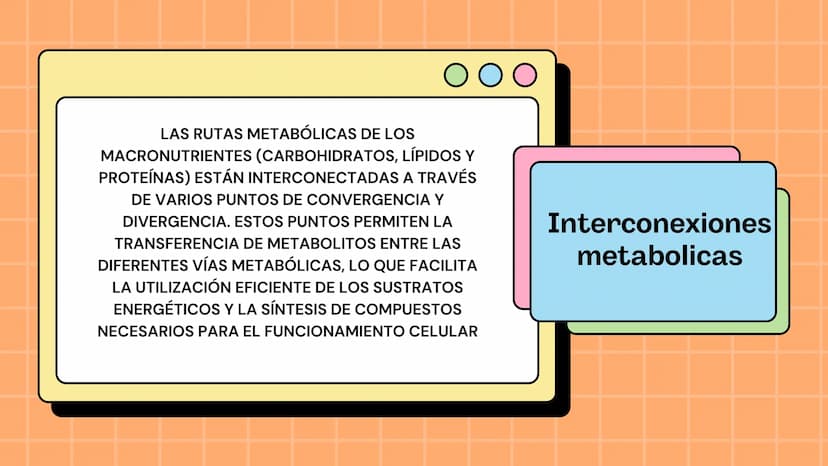 Macronutrientes
METABOLISMO Metabolismo carbohidratos
Se define como metabolismo
de los carbohidratos a los
procesos bioquímicos de
formació