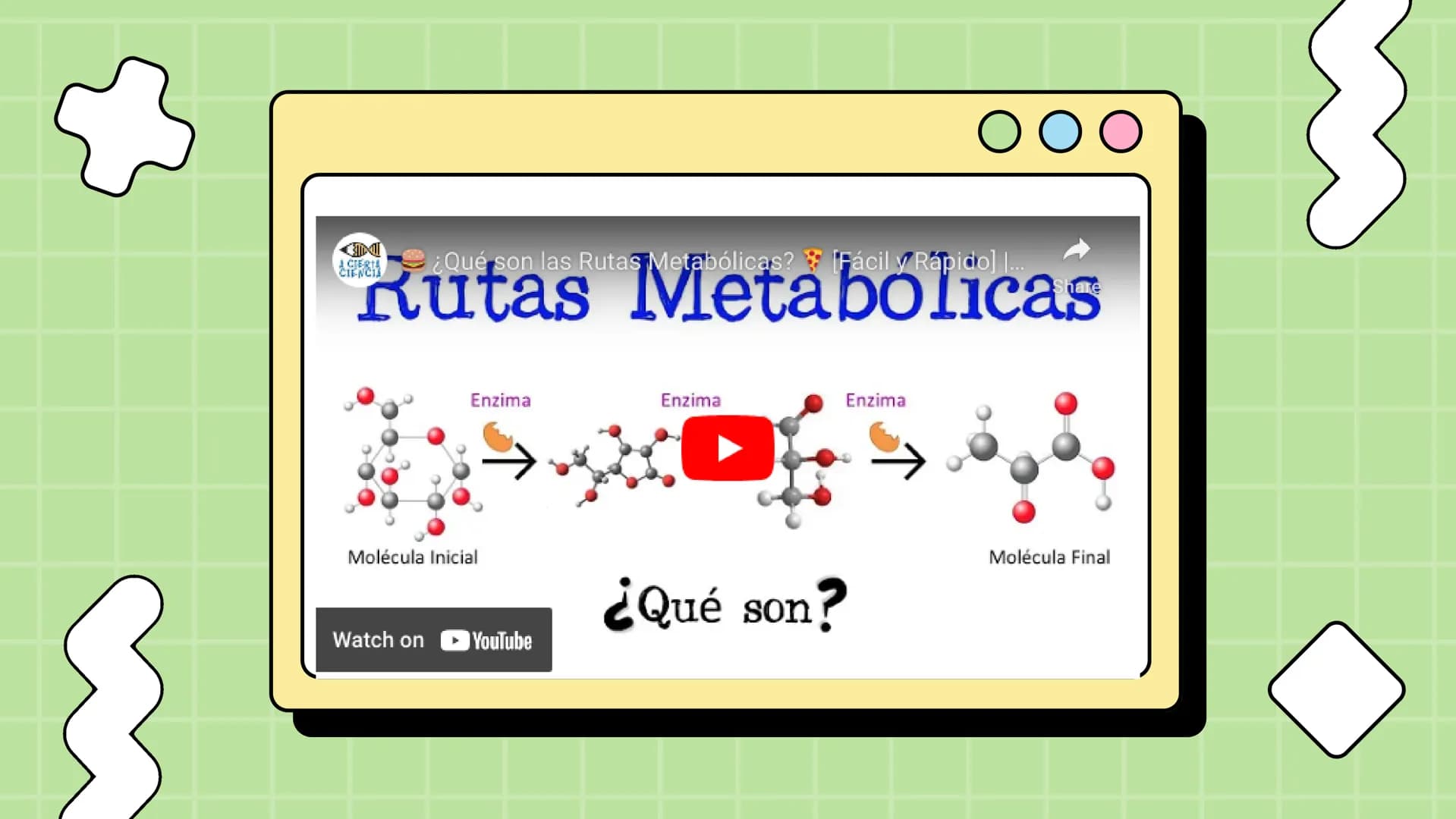 Macronutrientes
METABOLISMO Metabolismo carbohidratos
Se define como metabolismo
de los carbohidratos a los
procesos bioquímicos de
formació