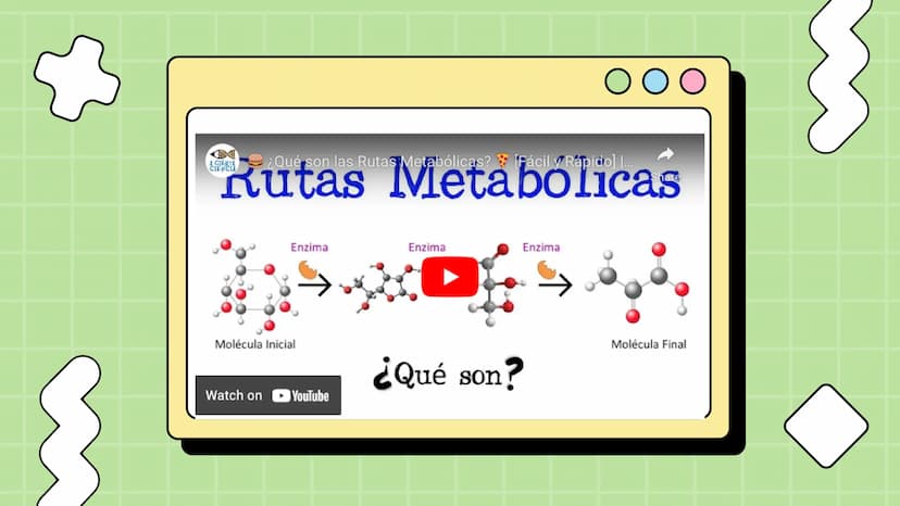 Macronutrientes
METABOLISMO Metabolismo carbohidratos
Se define como metabolismo
de los carbohidratos a los
procesos bioquímicos de
formació