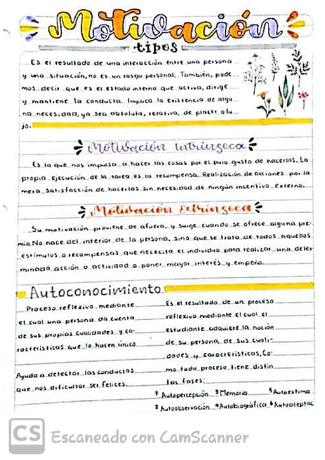 Motivación:
tipos
Es el resultado de una iniciación nire una persona
y una situación, no es un rasgo personal. También, padt
mos decir que e