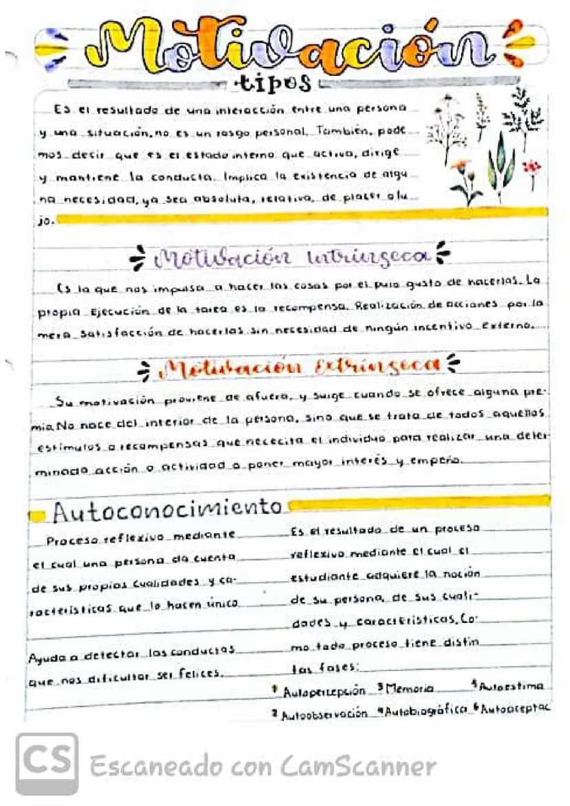 Motivación:
tipos
Es el resultado de una iniciación nire una persona
y una situación, no es un rasgo personal. También, padt
mos decir que e