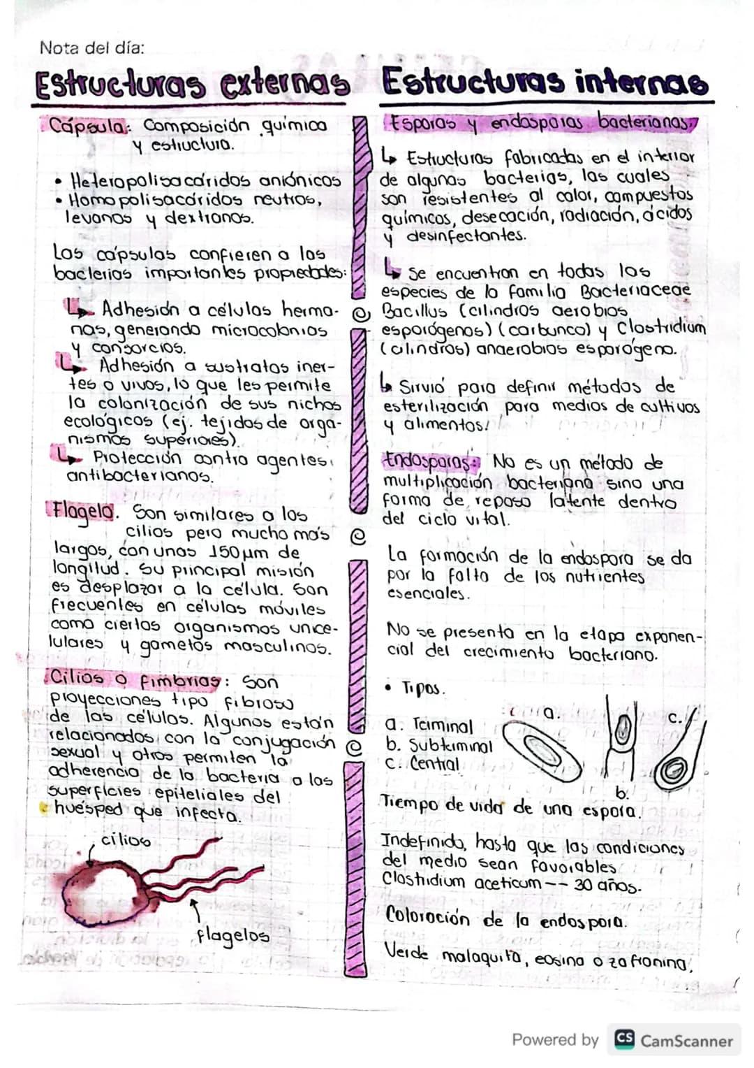 Nota del día:
microbiologia
de alimente
Es el estudio de células vivas microscopicas. Incluye: hongos,
bacterias, levaduras, nema todos, pro