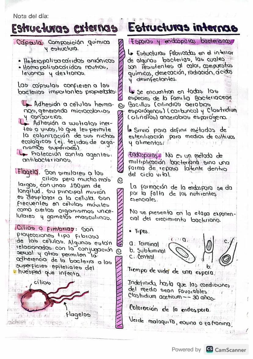 Nota del día:
microbiologia
de alimente
Es el estudio de células vivas microscopicas. Incluye: hongos,
bacterias, levaduras, nema todos, pro
