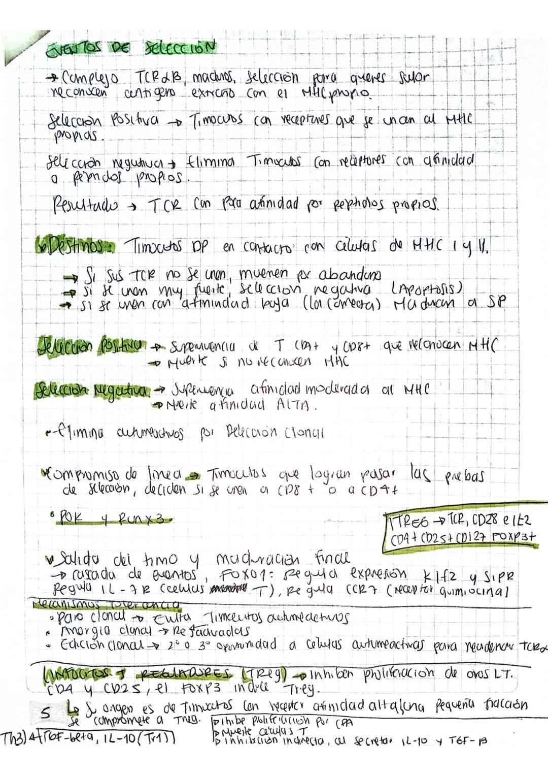 # EVENTOS DE SELECCIÓN

Complejo TCRAB, machios, selección para queres Sulor
neconicen contigeno extraño con el MHCpropio

Selecion positiva