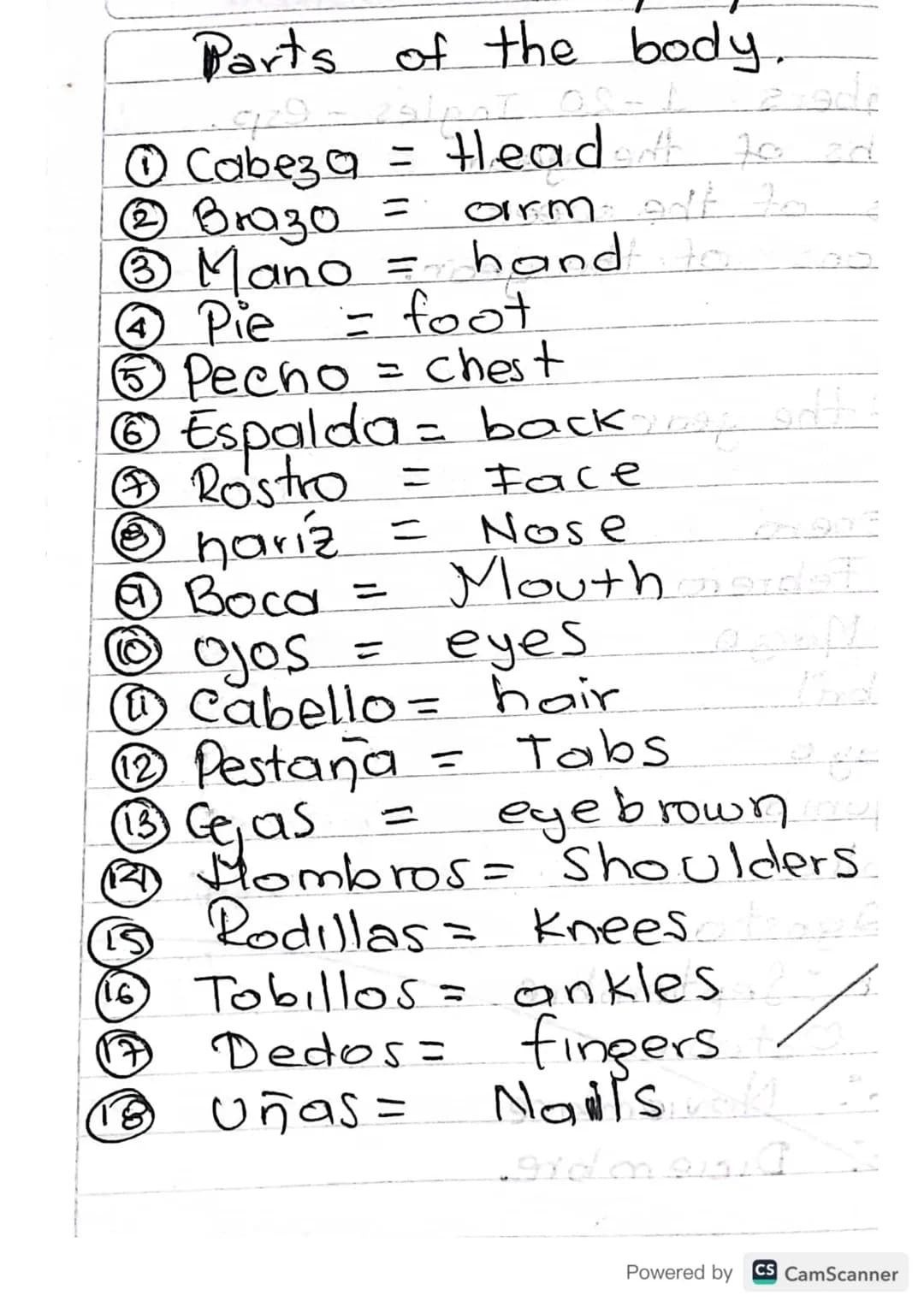 Parts of the body.
فلورم
1929 - 29/AI
①Cabeza = Headott to zd
2 Bra30 = oirm
eft to
③ Mano = hand to
① Pie
= foot
⑤ Pecho = chest
= Face
⑥ E