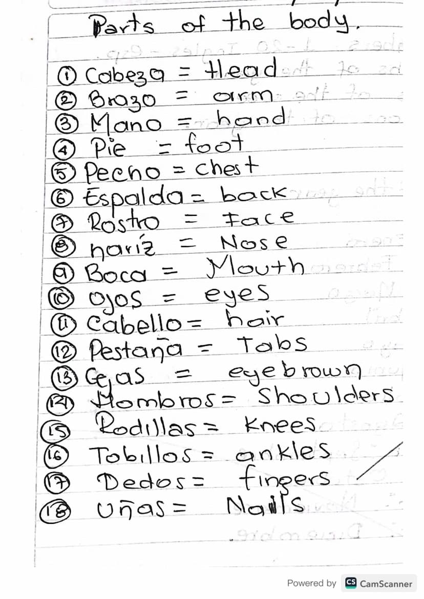 Parts of the body.
فلورم
1929 - 29/AI
①Cabeza = Headott to zd
2 Bra30 = oirm
eft to
③ Mano = hand to
① Pie
= foot
⑤ Pecho = chest
= Face
⑥ E