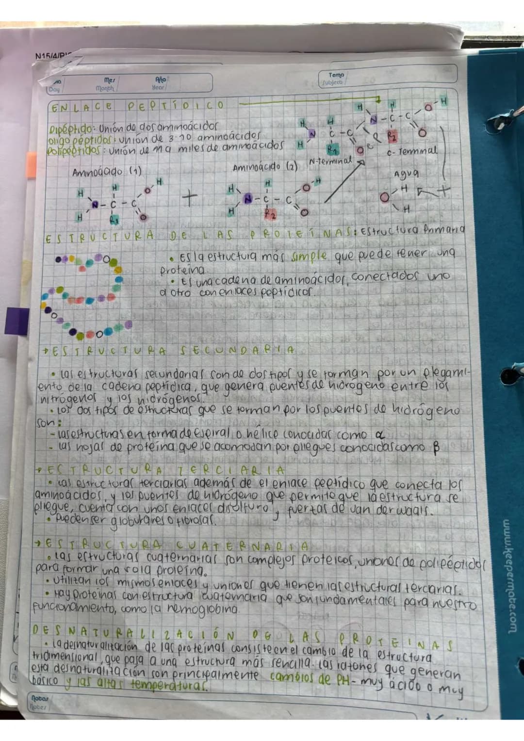 N15/4/P
10
Day
Mes
Month
Año
Year
ENLACE
PEPTIDICO
Dipeptido: Unión de dos aminoácidos
oligo peptidos unión de 3-10 aminoácidos
Polipeptidos