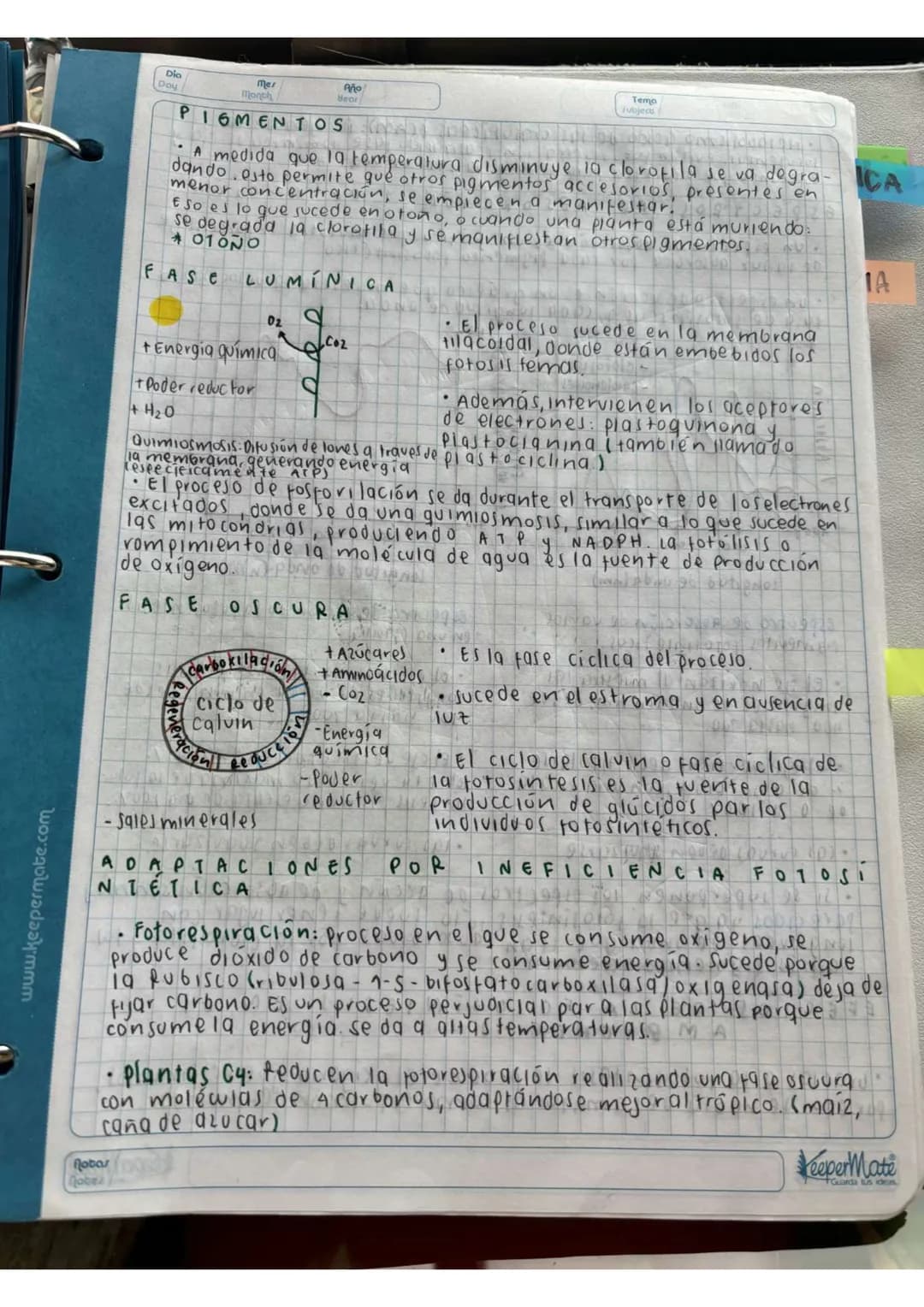 N15/4/P
10
Day
Mes
Month
Año
Year
ENLACE
PEPTIDICO
Dipeptido: Unión de dos aminoácidos
oligo peptidos unión de 3-10 aminoácidos
Polipeptidos