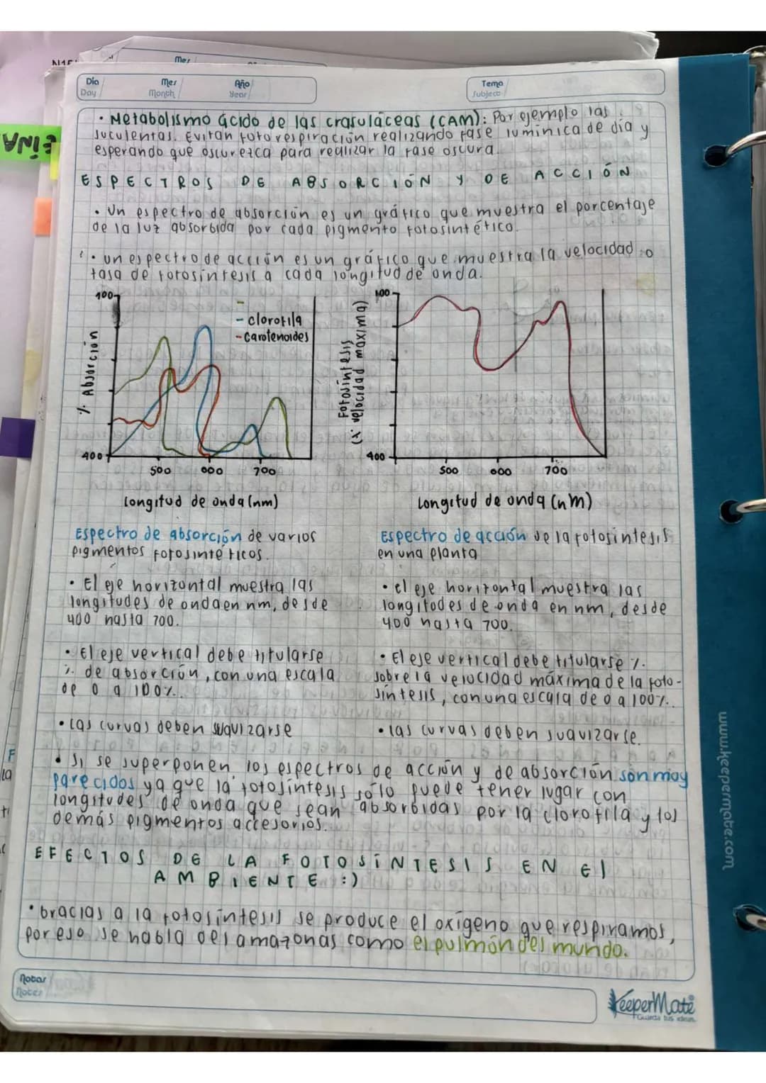 N15/4/P
10
Day
Mes
Month
Año
Year
ENLACE
PEPTIDICO
Dipeptido: Unión de dos aminoácidos
oligo peptidos unión de 3-10 aminoácidos
Polipeptidos