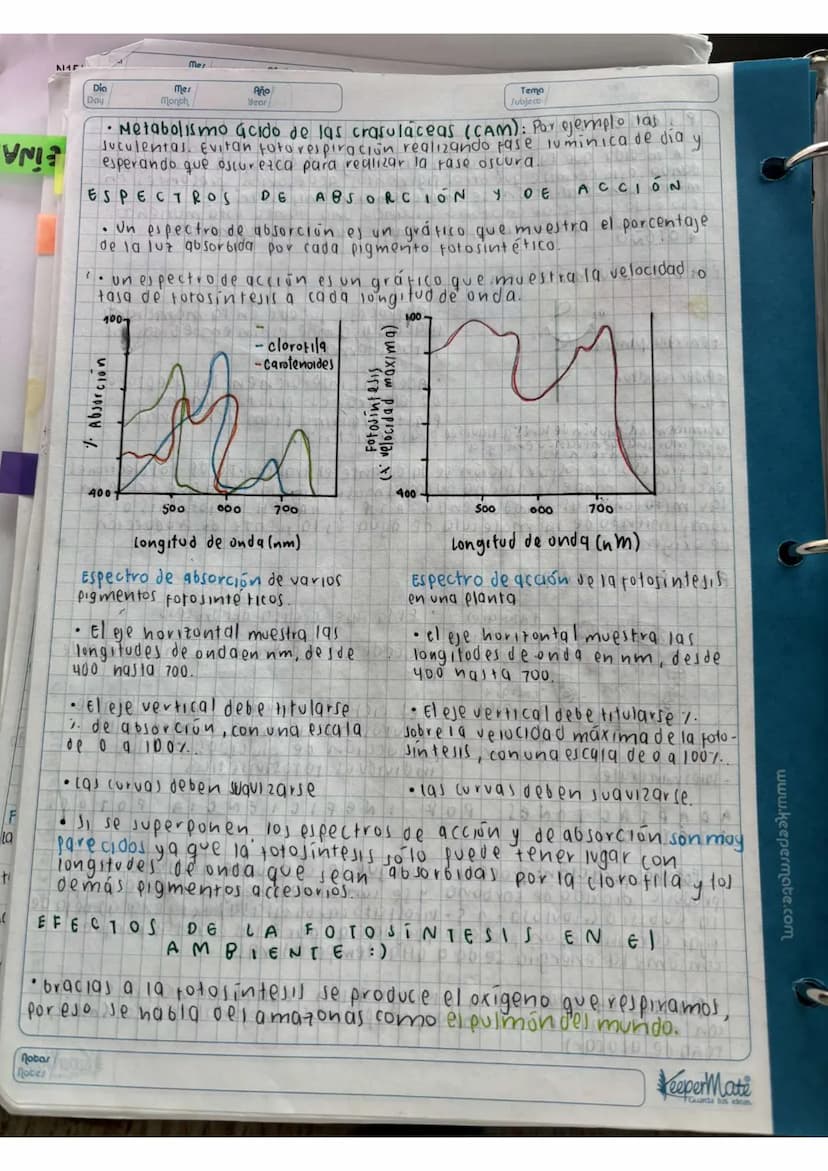 N15/4/P
10
Day
Mes
Month
Año
Year
ENLACE
PEPTIDICO
Dipeptido: Unión de dos aminoácidos
oligo peptidos unión de 3-10 aminoácidos
Polipeptidos