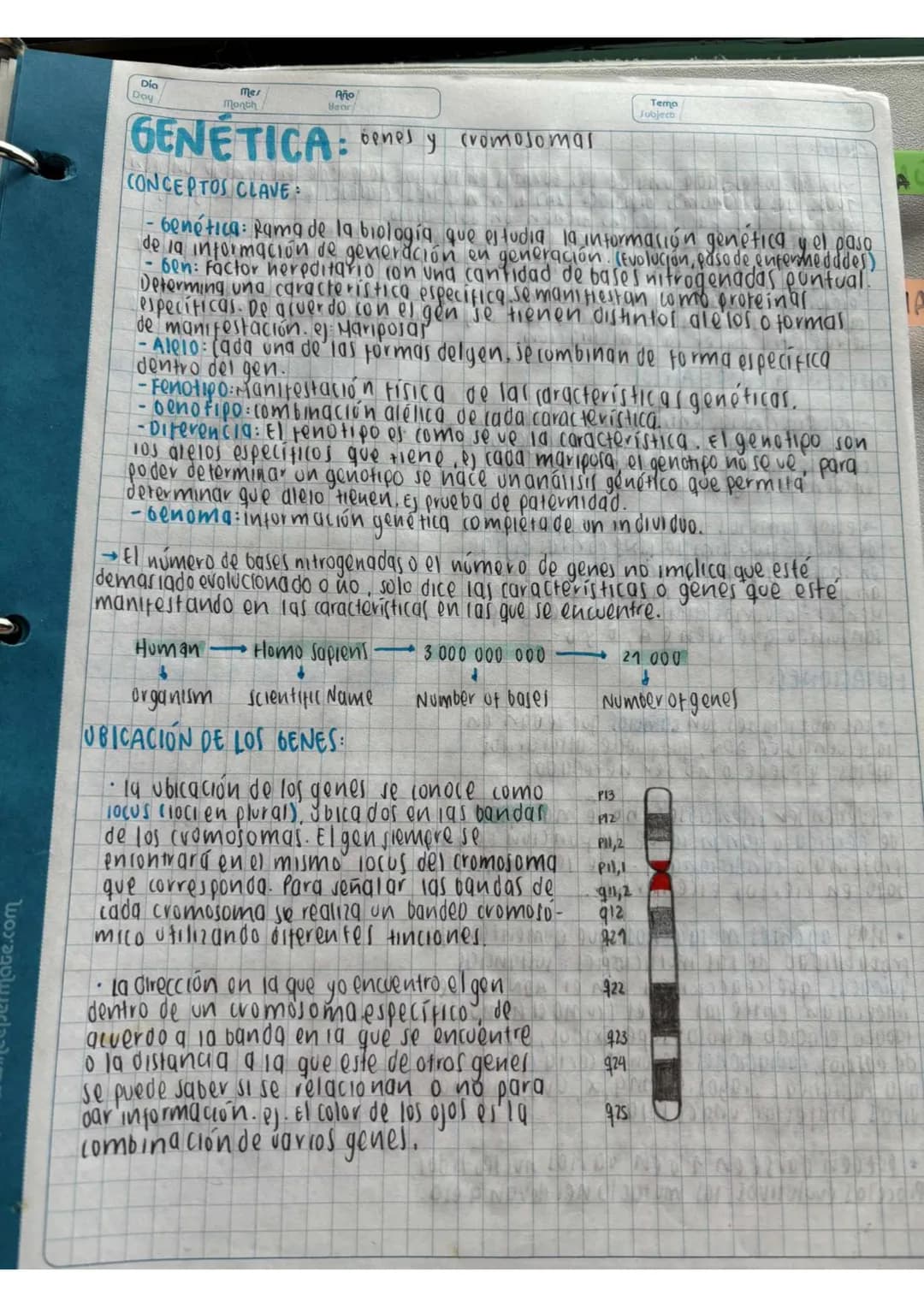 N15/4/P
10
Day
Mes
Month
Año
Year
ENLACE
PEPTIDICO
Dipeptido: Unión de dos aminoácidos
oligo peptidos unión de 3-10 aminoácidos
Polipeptidos