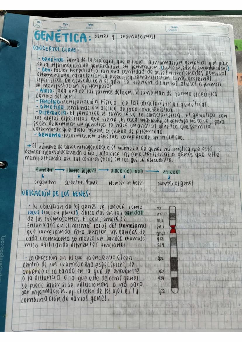 N15/4/P
10
Day
Mes
Month
Año
Year
ENLACE
PEPTIDICO
Dipeptido: Unión de dos aminoácidos
oligo peptidos unión de 3-10 aminoácidos
Polipeptidos