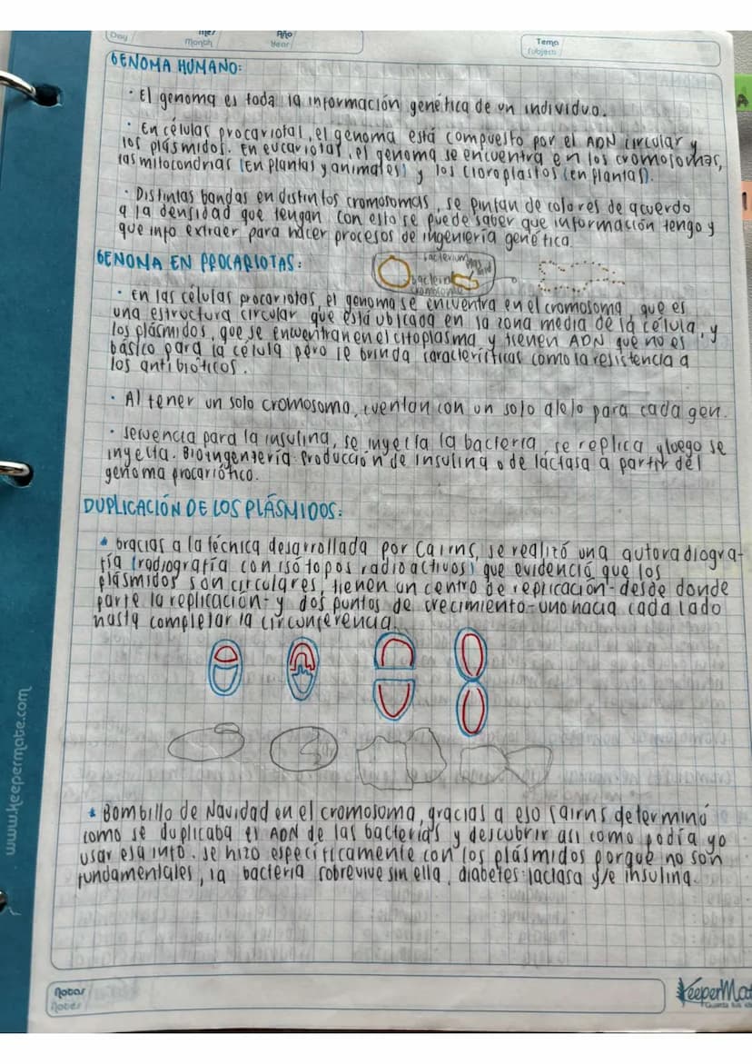 N15/4/P
10
Day
Mes
Month
Año
Year
ENLACE
PEPTIDICO
Dipeptido: Unión de dos aminoácidos
oligo peptidos unión de 3-10 aminoácidos
Polipeptidos