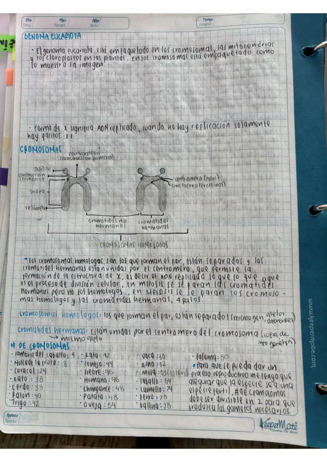 N15/4/P
10
Day
Mes
Month
Año
Year
ENLACE
PEPTIDICO
Dipeptido: Unión de dos aminoácidos
oligo peptidos unión de 3-10 aminoácidos
Polipeptidos