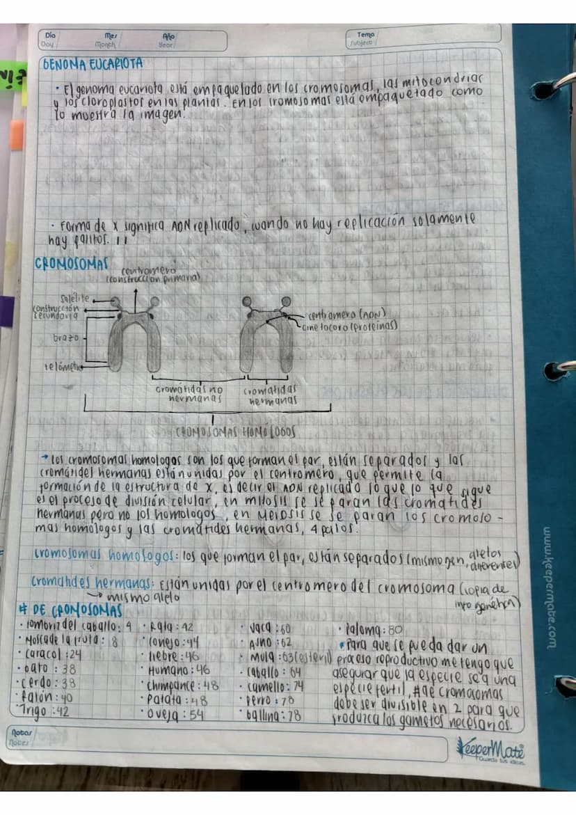 N15/4/P
10
Day
Mes
Month
Año
Year
ENLACE
PEPTIDICO
Dipeptido: Unión de dos aminoácidos
oligo peptidos unión de 3-10 aminoácidos
Polipeptidos