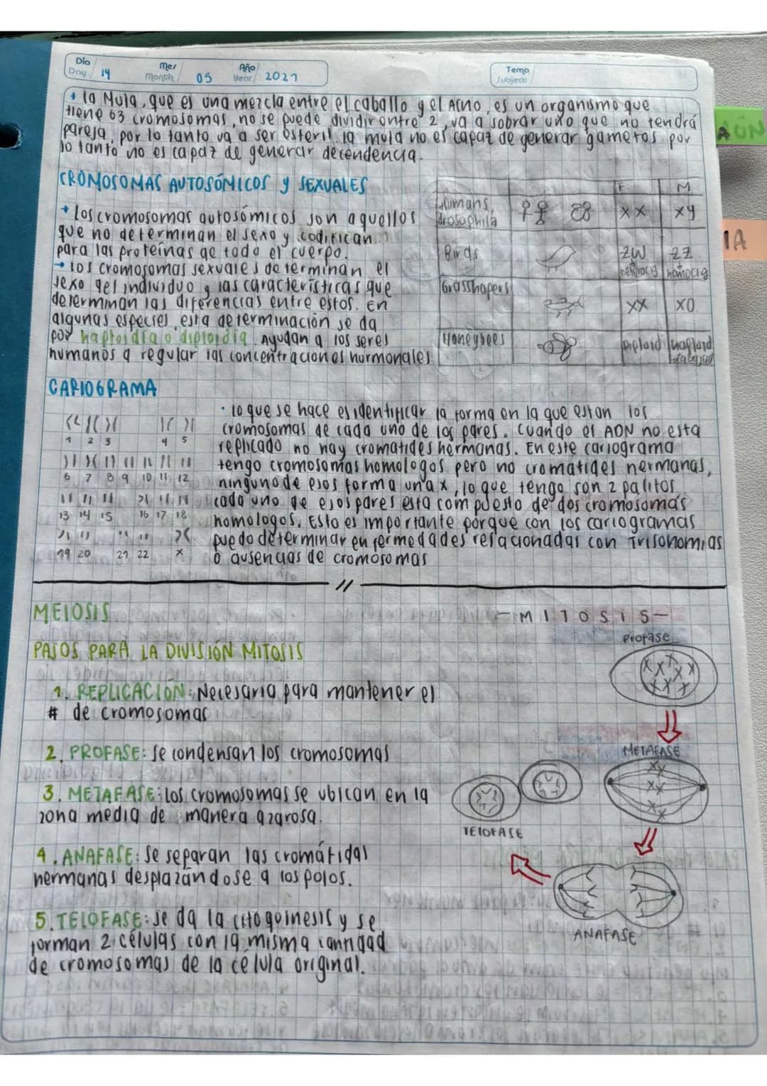 N15/4/P
10
Day
Mes
Month
Año
Year
ENLACE
PEPTIDICO
Dipeptido: Unión de dos aminoácidos
oligo peptidos unión de 3-10 aminoácidos
Polipeptidos