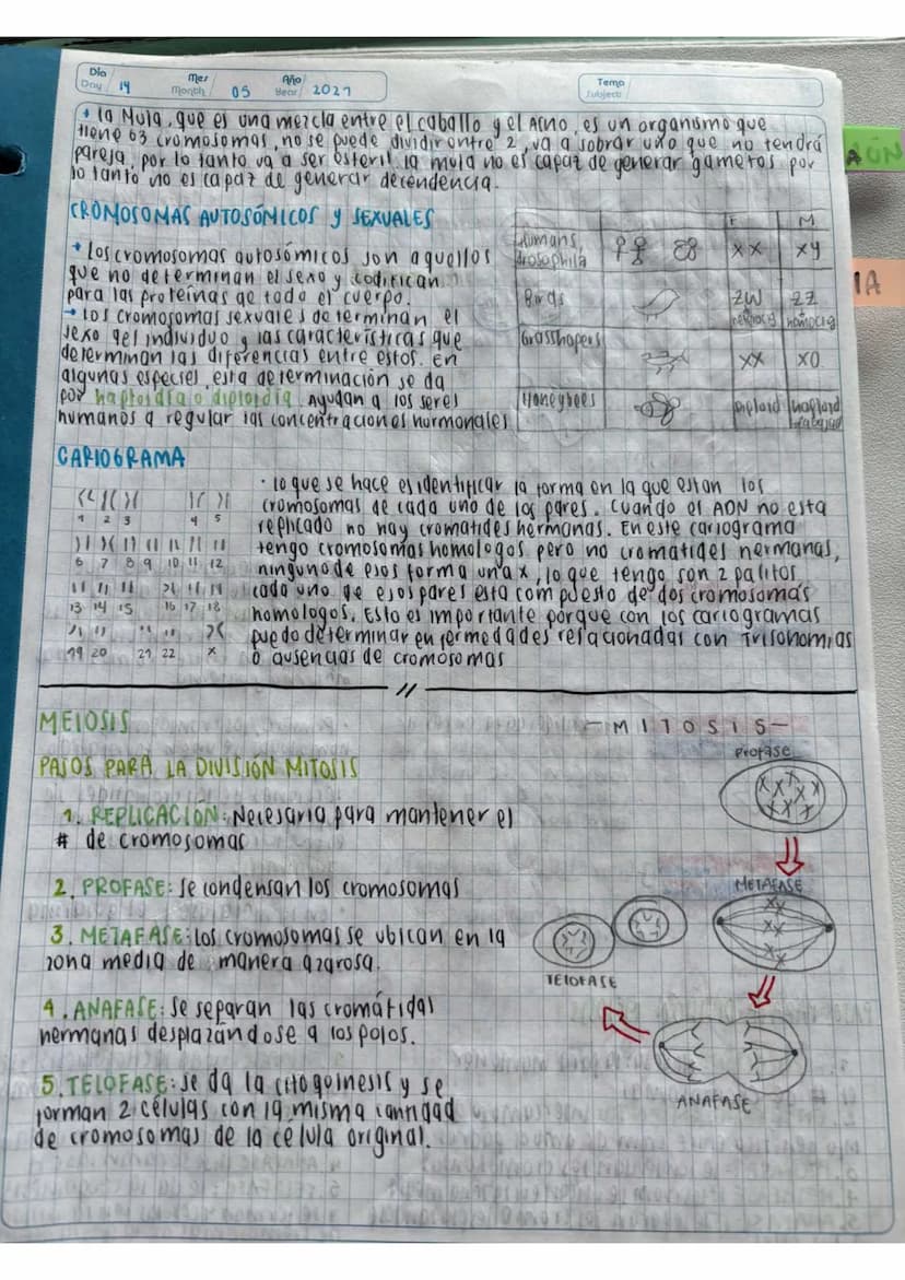 N15/4/P
10
Day
Mes
Month
Año
Year
ENLACE
PEPTIDICO
Dipeptido: Unión de dos aminoácidos
oligo peptidos unión de 3-10 aminoácidos
Polipeptidos