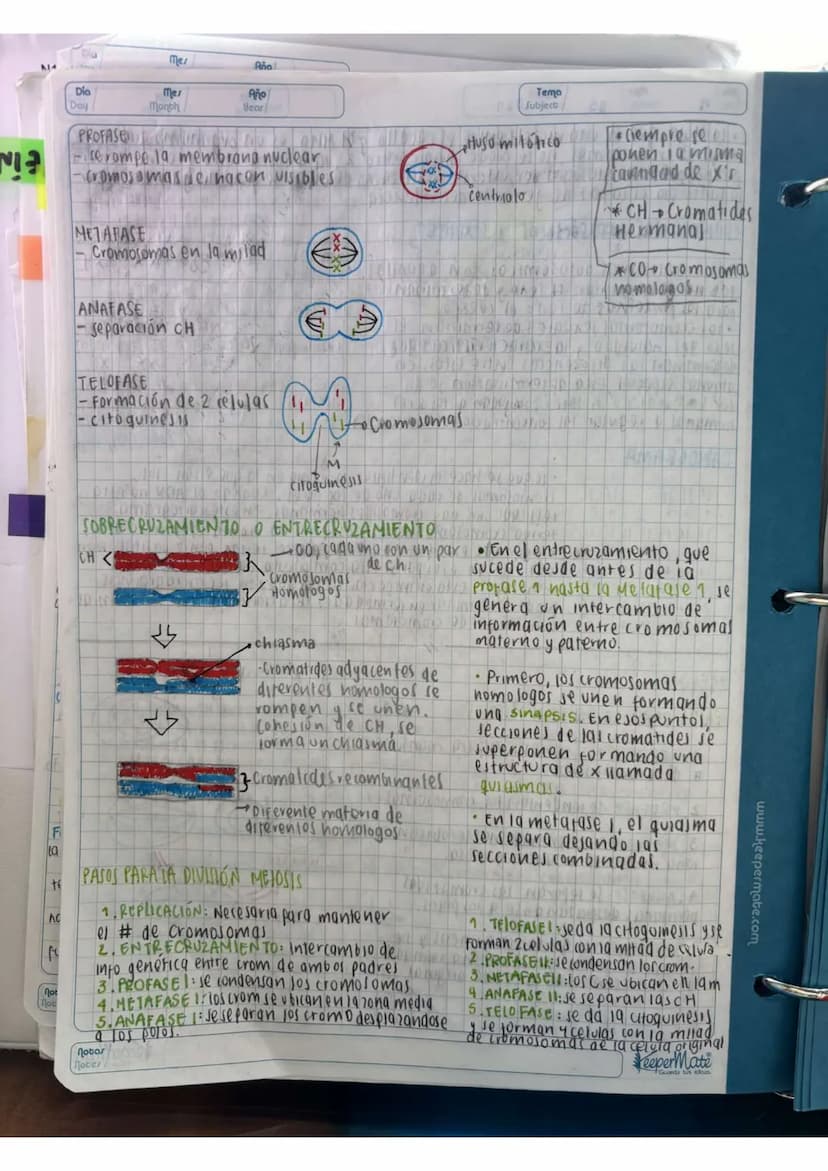 N15/4/P
10
Day
Mes
Month
Año
Year
ENLACE
PEPTIDICO
Dipeptido: Unión de dos aminoácidos
oligo peptidos unión de 3-10 aminoácidos
Polipeptidos