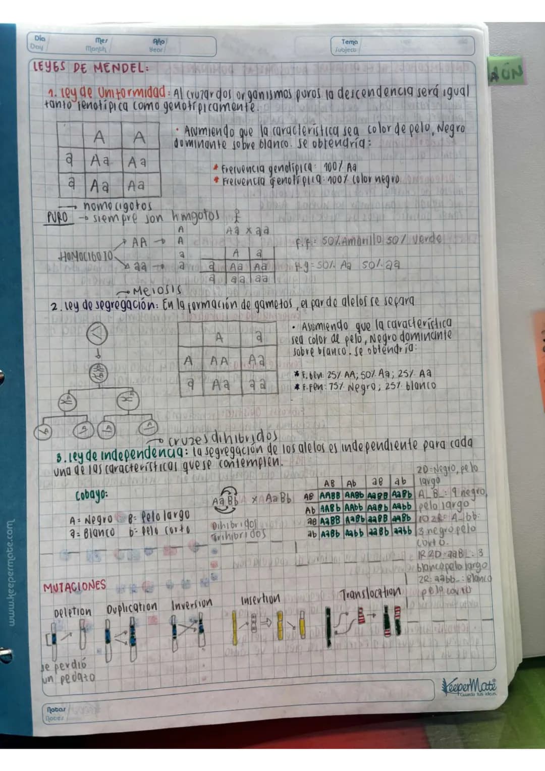 N15/4/P
10
Day
Mes
Month
Año
Year
ENLACE
PEPTIDICO
Dipeptido: Unión de dos aminoácidos
oligo peptidos unión de 3-10 aminoácidos
Polipeptidos