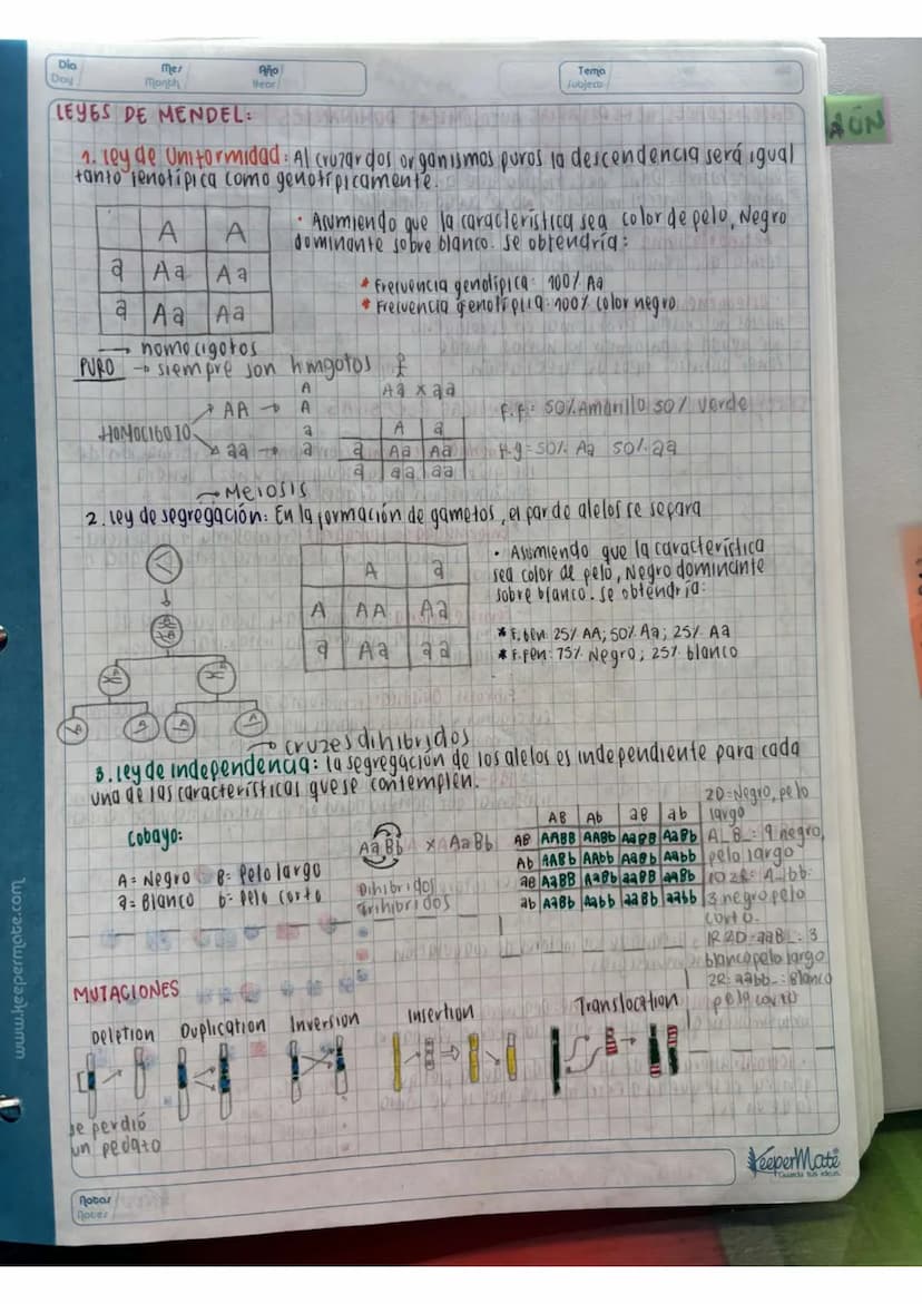 N15/4/P
10
Day
Mes
Month
Año
Year
ENLACE
PEPTIDICO
Dipeptido: Unión de dos aminoácidos
oligo peptidos unión de 3-10 aminoácidos
Polipeptidos
