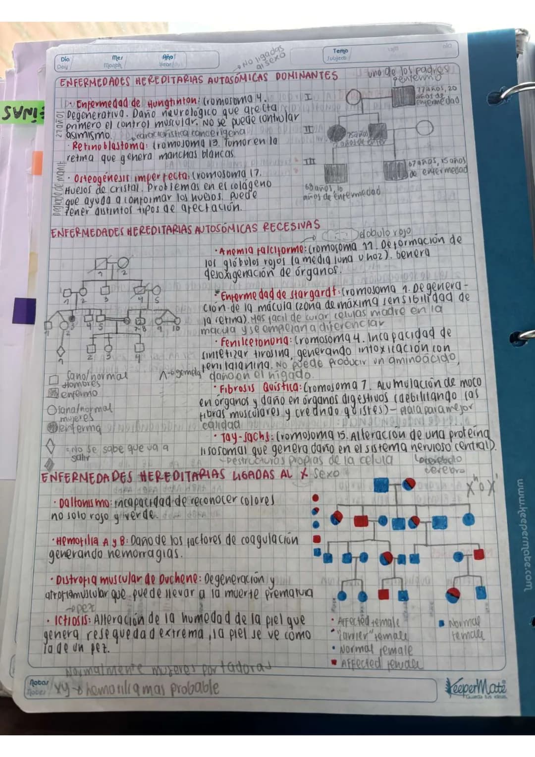 N15/4/P
10
Day
Mes
Month
Año
Year
ENLACE
PEPTIDICO
Dipeptido: Unión de dos aminoácidos
oligo peptidos unión de 3-10 aminoácidos
Polipeptidos