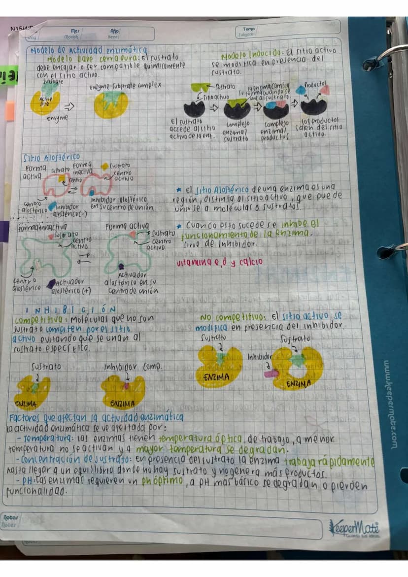 N15/4/P
10
Day
Mes
Month
Año
Year
ENLACE
PEPTIDICO
Dipeptido: Unión de dos aminoácidos
oligo peptidos unión de 3-10 aminoácidos
Polipeptidos