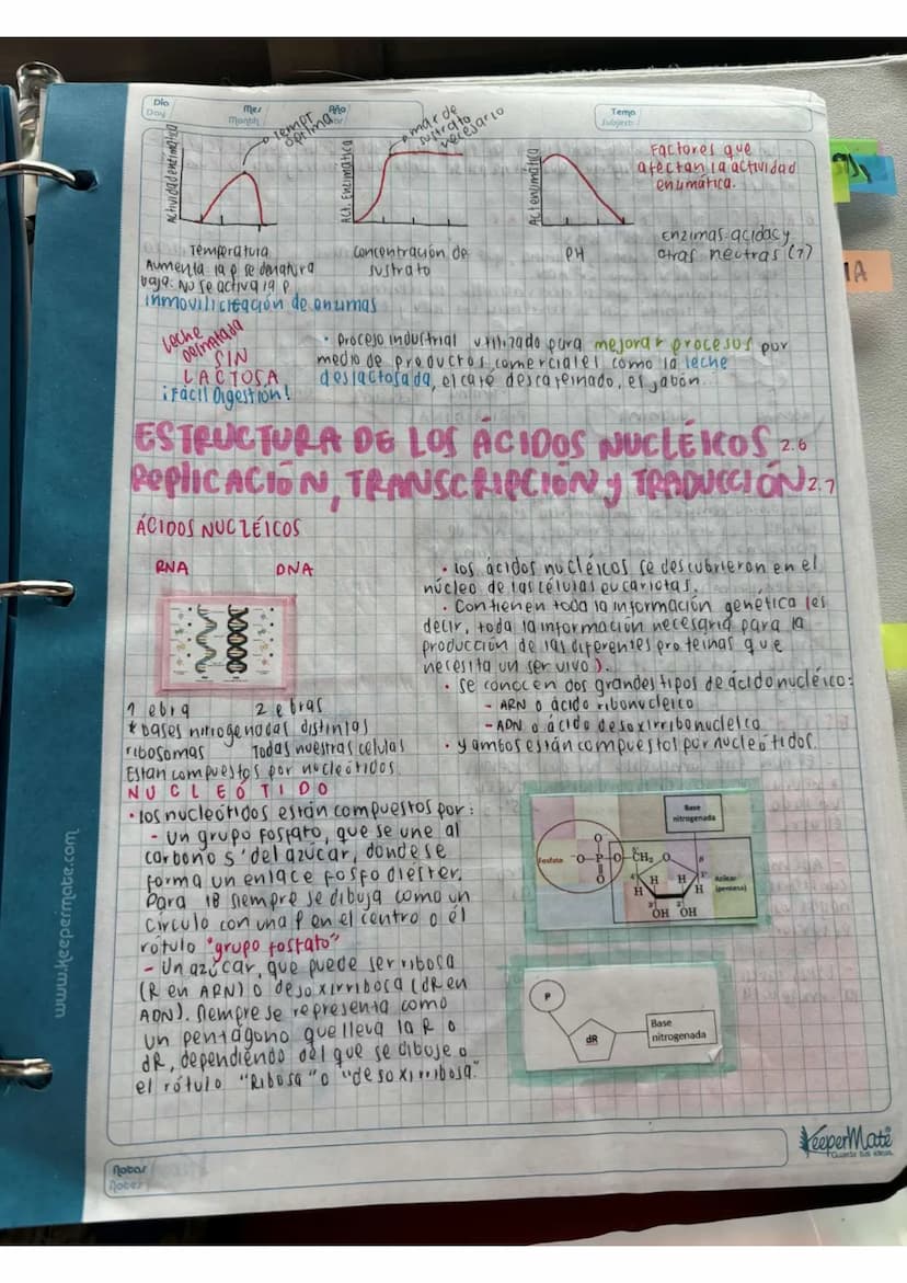 N15/4/P
10
Day
Mes
Month
Año
Year
ENLACE
PEPTIDICO
Dipeptido: Unión de dos aminoácidos
oligo peptidos unión de 3-10 aminoácidos
Polipeptidos