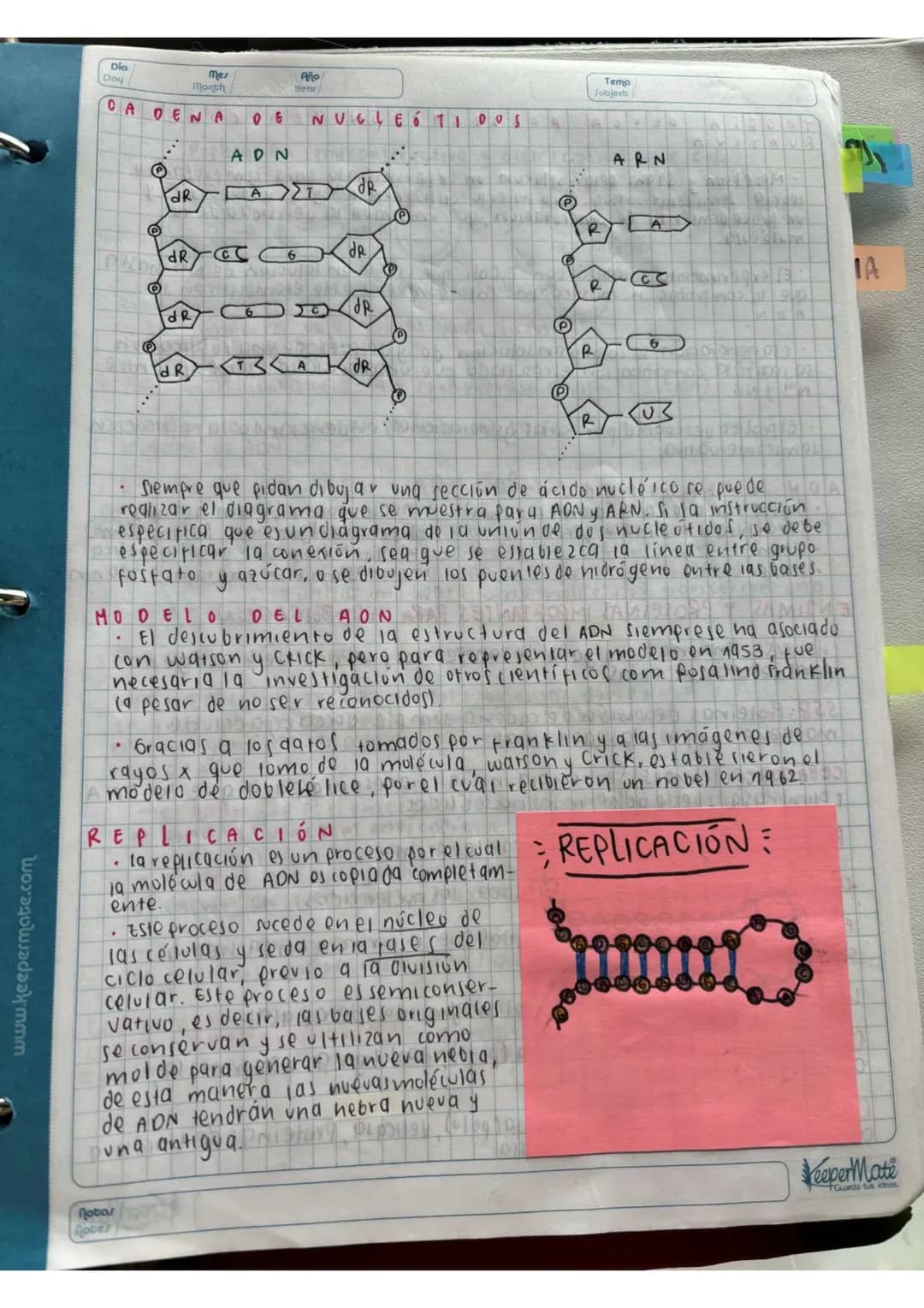 N15/4/P
10
Day
Mes
Month
Año
Year
ENLACE
PEPTIDICO
Dipeptido: Unión de dos aminoácidos
oligo peptidos unión de 3-10 aminoácidos
Polipeptidos