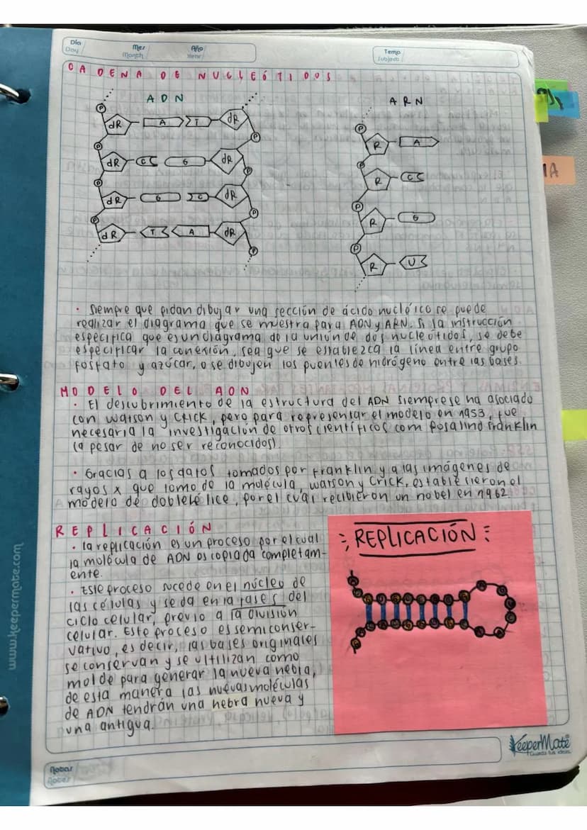 N15/4/P
10
Day
Mes
Month
Año
Year
ENLACE
PEPTIDICO
Dipeptido: Unión de dos aminoácidos
oligo peptidos unión de 3-10 aminoácidos
Polipeptidos