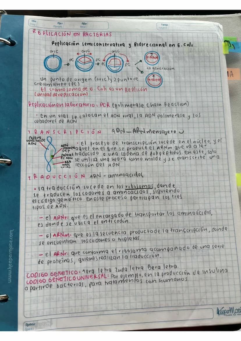 N15/4/P
10
Day
Mes
Month
Año
Year
ENLACE
PEPTIDICO
Dipeptido: Unión de dos aminoácidos
oligo peptidos unión de 3-10 aminoácidos
Polipeptidos