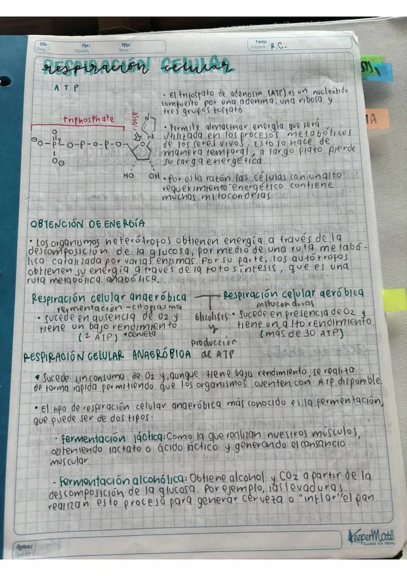 N15/4/P
10
Day
Mes
Month
Año
Year
ENLACE
PEPTIDICO
Dipeptido: Unión de dos aminoácidos
oligo peptidos unión de 3-10 aminoácidos
Polipeptidos