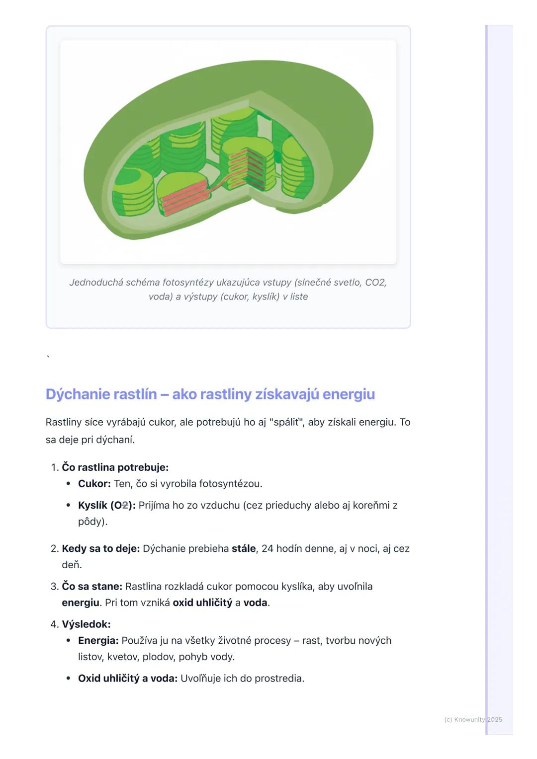 # Životné procesy rastlín

## 1. Prehľad životných procesov rastlín

Rastliny sú živé organizmy, rovnako ako my alebo zvieratá. To znamená, 