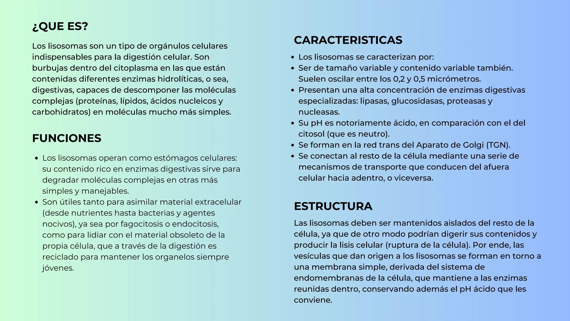 Lisosomas # ¿QUE ES?

Los lisosomas son un tipo de orgánulos celulares
indispensables para la digestión celular. Son
burbujas dentro del cit