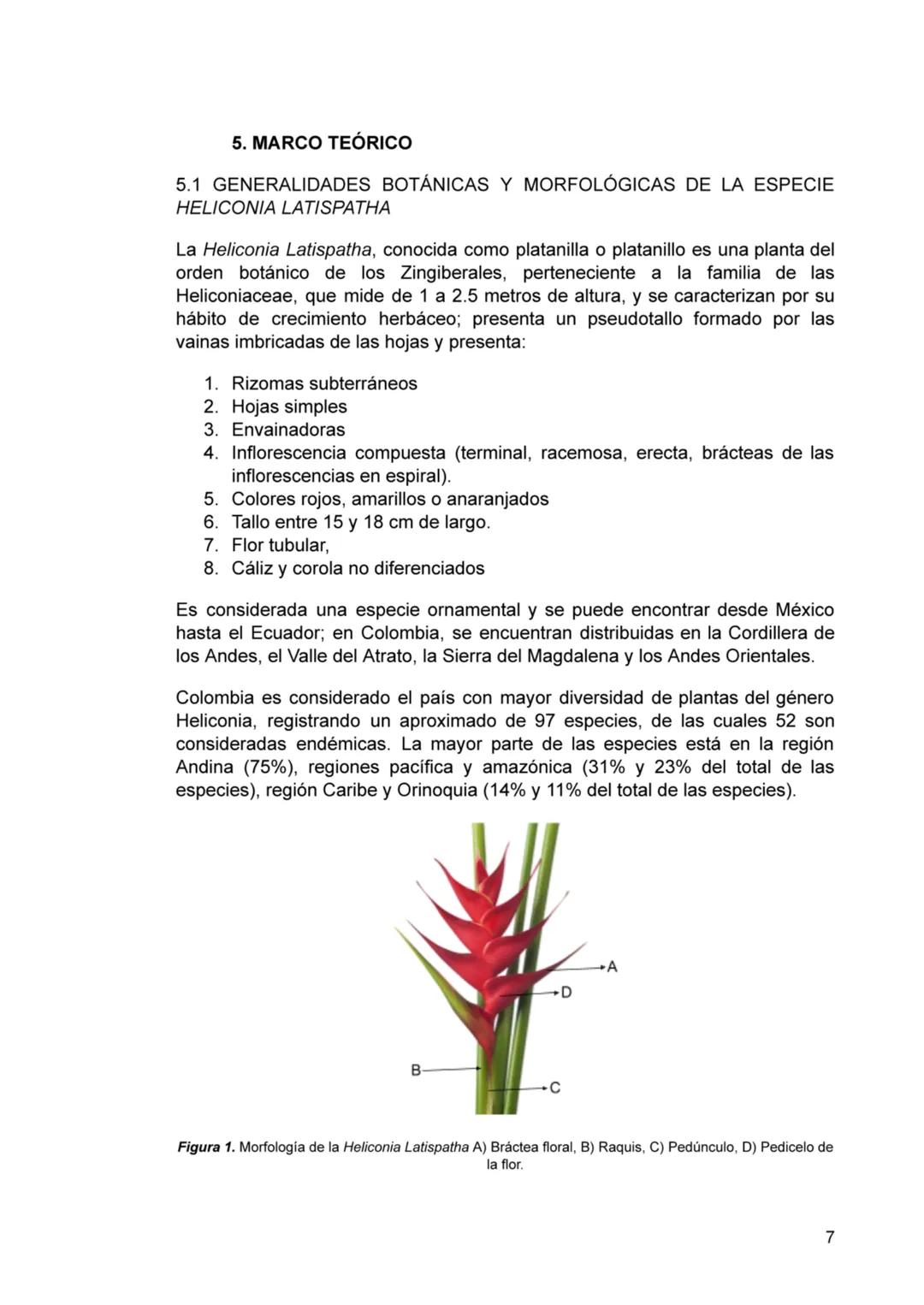 TABLA DE CONTENIDO
1. INTRODUCCIÓN.
2. ANTECEDENTES.
3. JUSTIFICACIÓN.
4. OBJETIVOS.
4.1 OBJETIVO GENERAL.
4.2 OBJETIVOS ESPECÍFICOS.
5. MAR