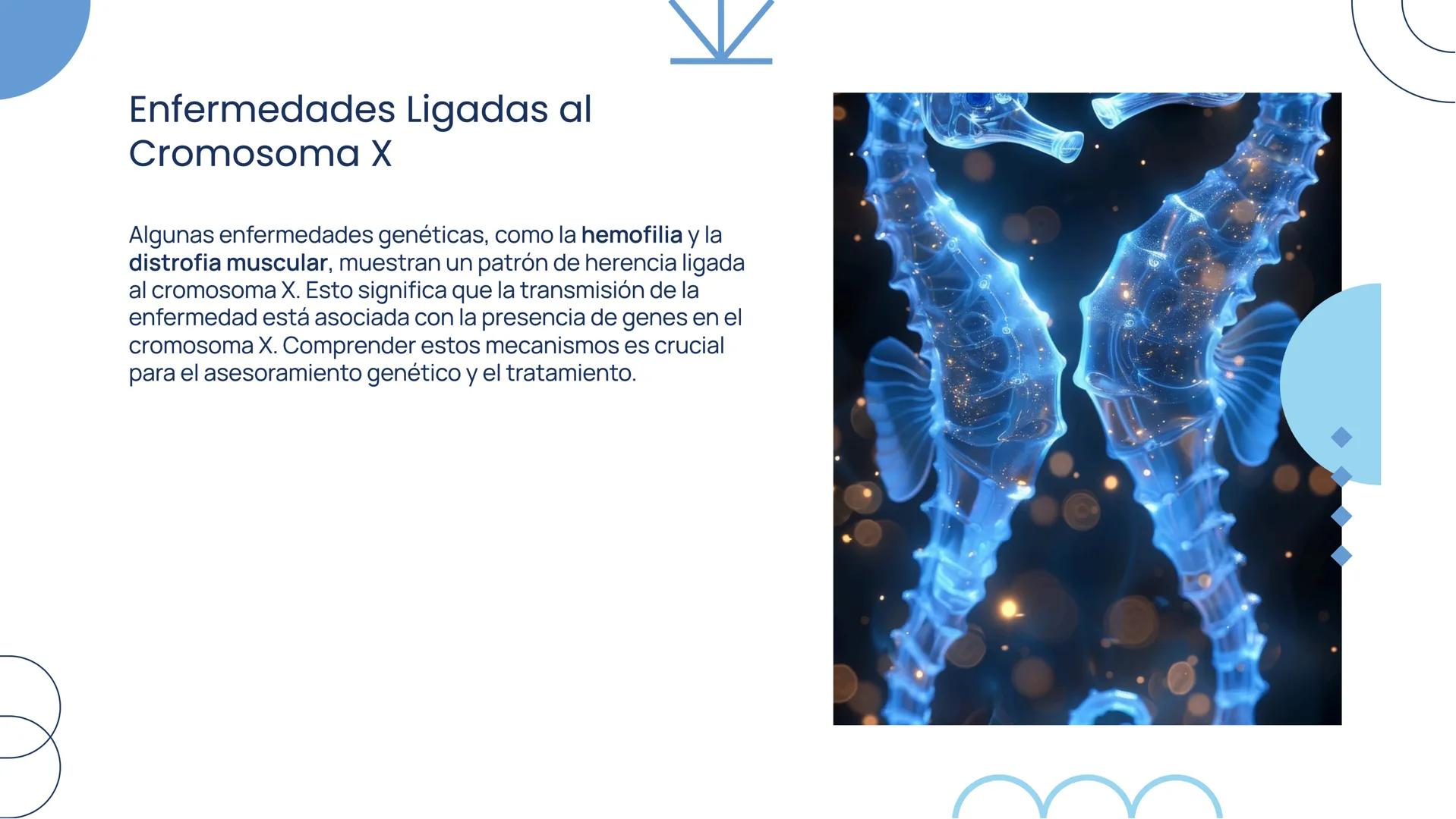 ### Herencia Ligada al
### Sexo: Mecanismos y
### Implicaciones
### Genéticas # Introducción

La herencia ligada al sexo se refiere a la tra