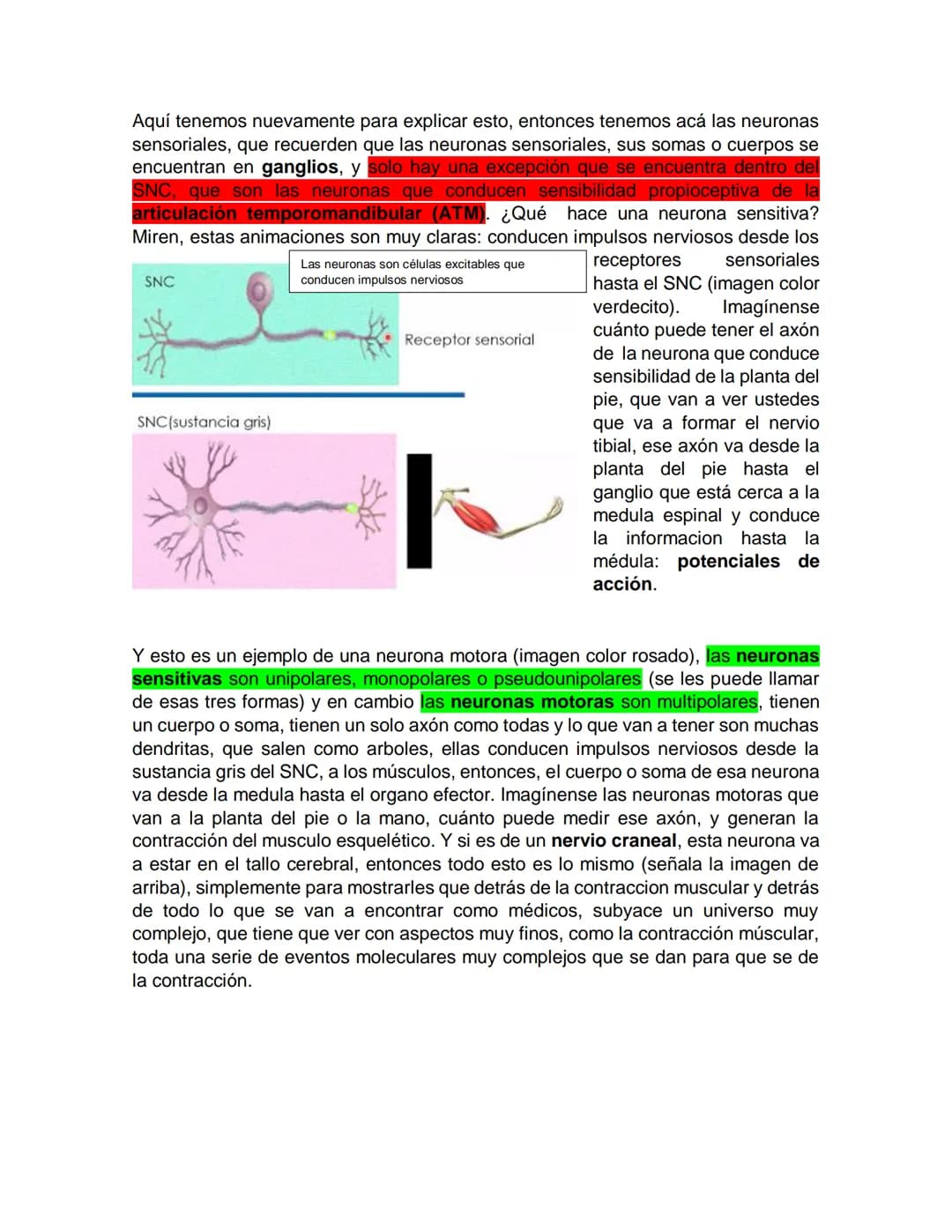 Sensory receptor
ORGANIZACIÓN DEL TEJIDO NERVIOSO
Sensory input
Integration
-Podemos partir de
unos principios de
organización general
del s
