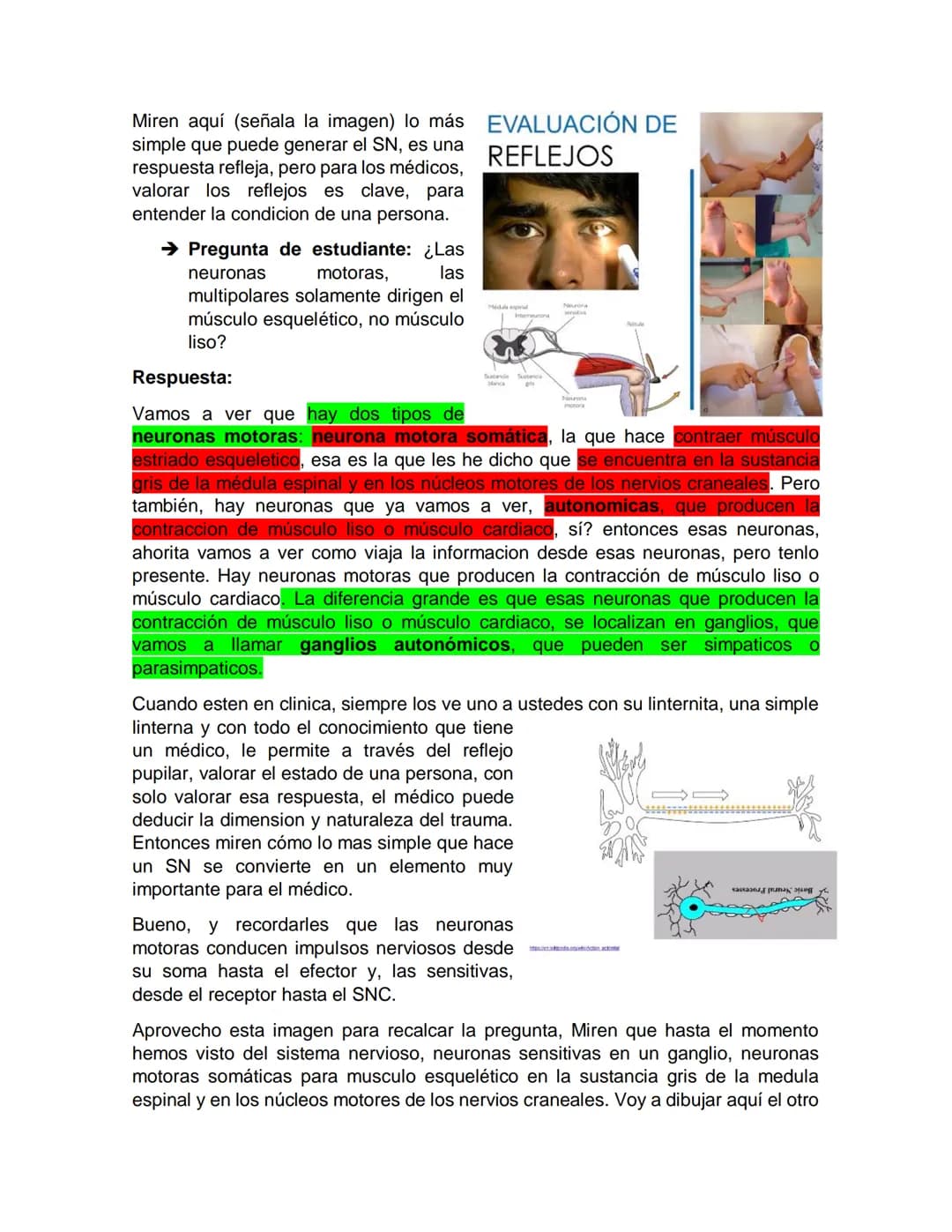 Sensory receptor
ORGANIZACIÓN DEL TEJIDO NERVIOSO
Sensory input
Integration
-Podemos partir de
unos principios de
organización general
del s