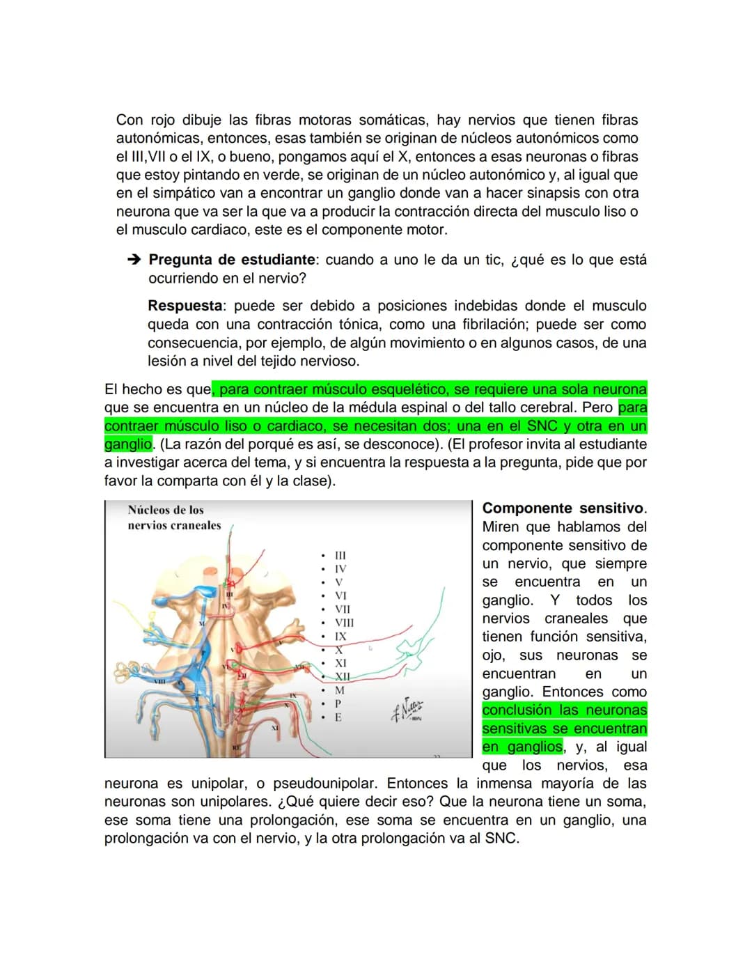 Sensory receptor
ORGANIZACIÓN DEL TEJIDO NERVIOSO
Sensory input
Integration
-Podemos partir de
unos principios de
organización general
del s