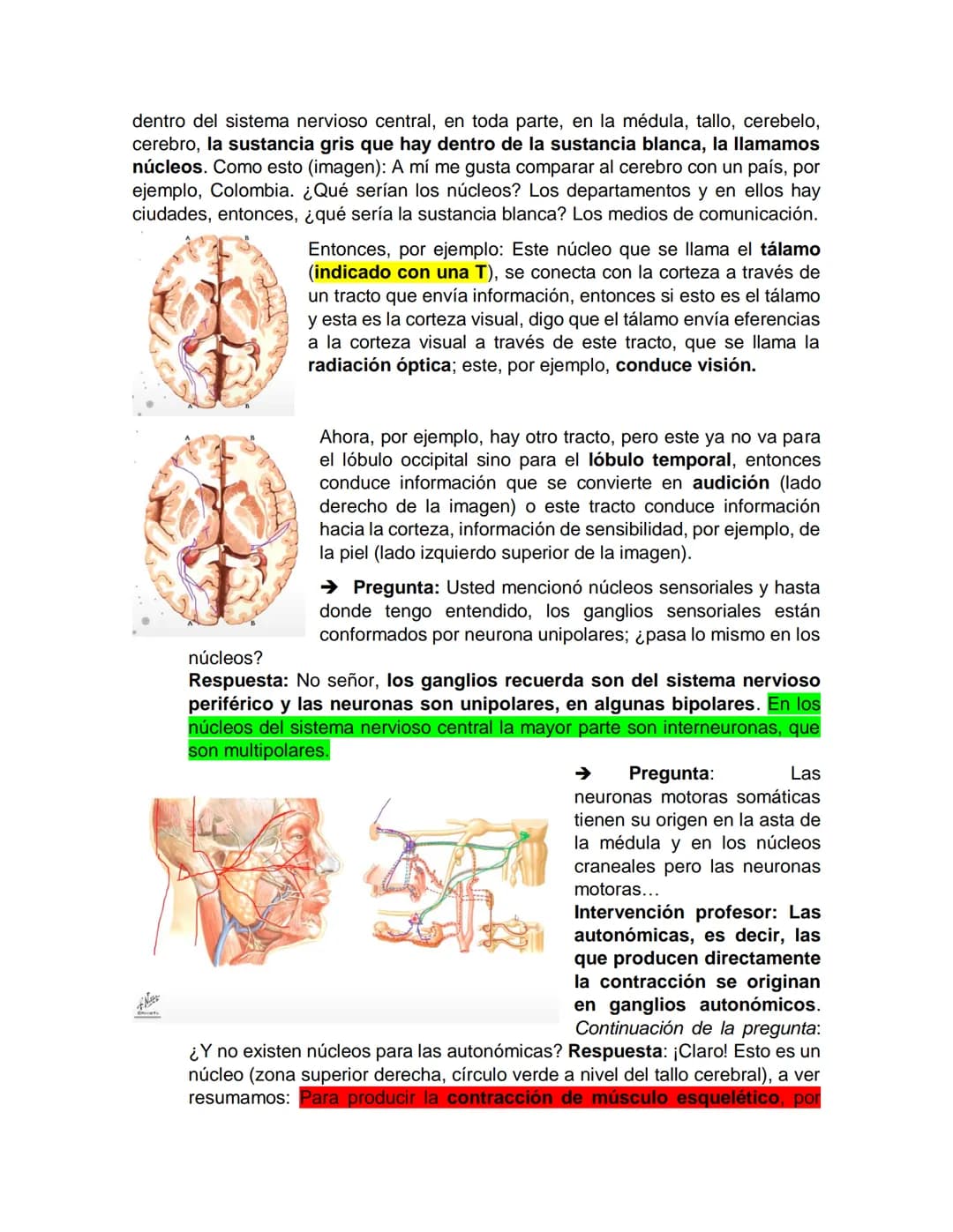 Sensory receptor
ORGANIZACIÓN DEL TEJIDO NERVIOSO
Sensory input
Integration
-Podemos partir de
unos principios de
organización general
del s