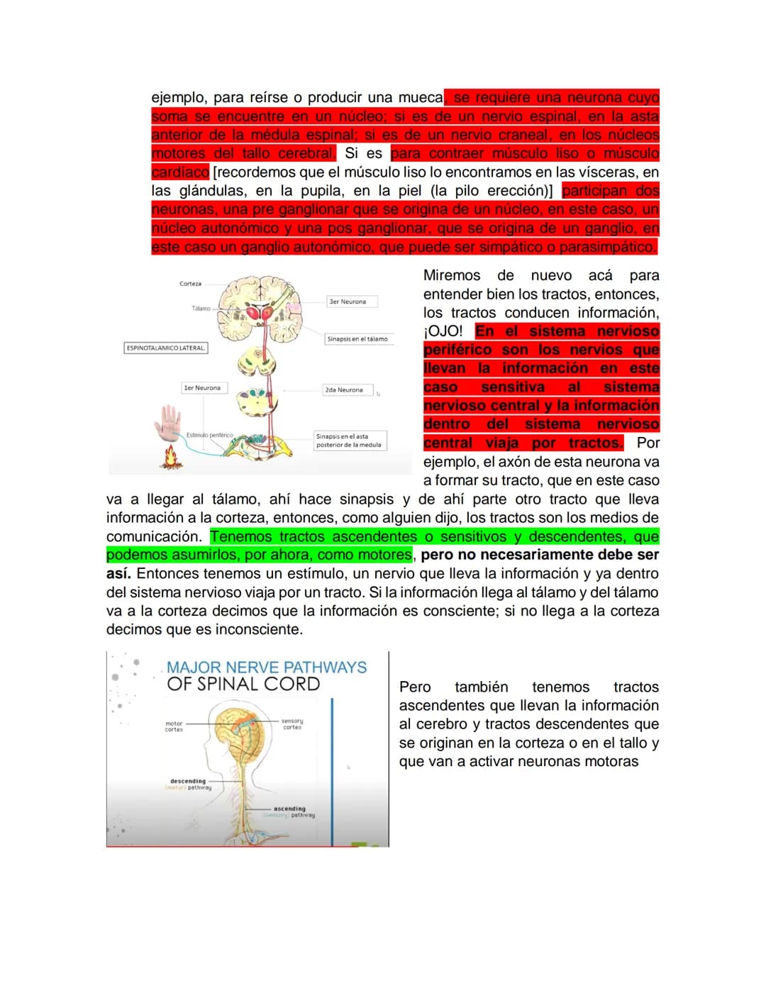 Sensory receptor
ORGANIZACIÓN DEL TEJIDO NERVIOSO
Sensory input
Integration
-Podemos partir de
unos principios de
organización general
del s