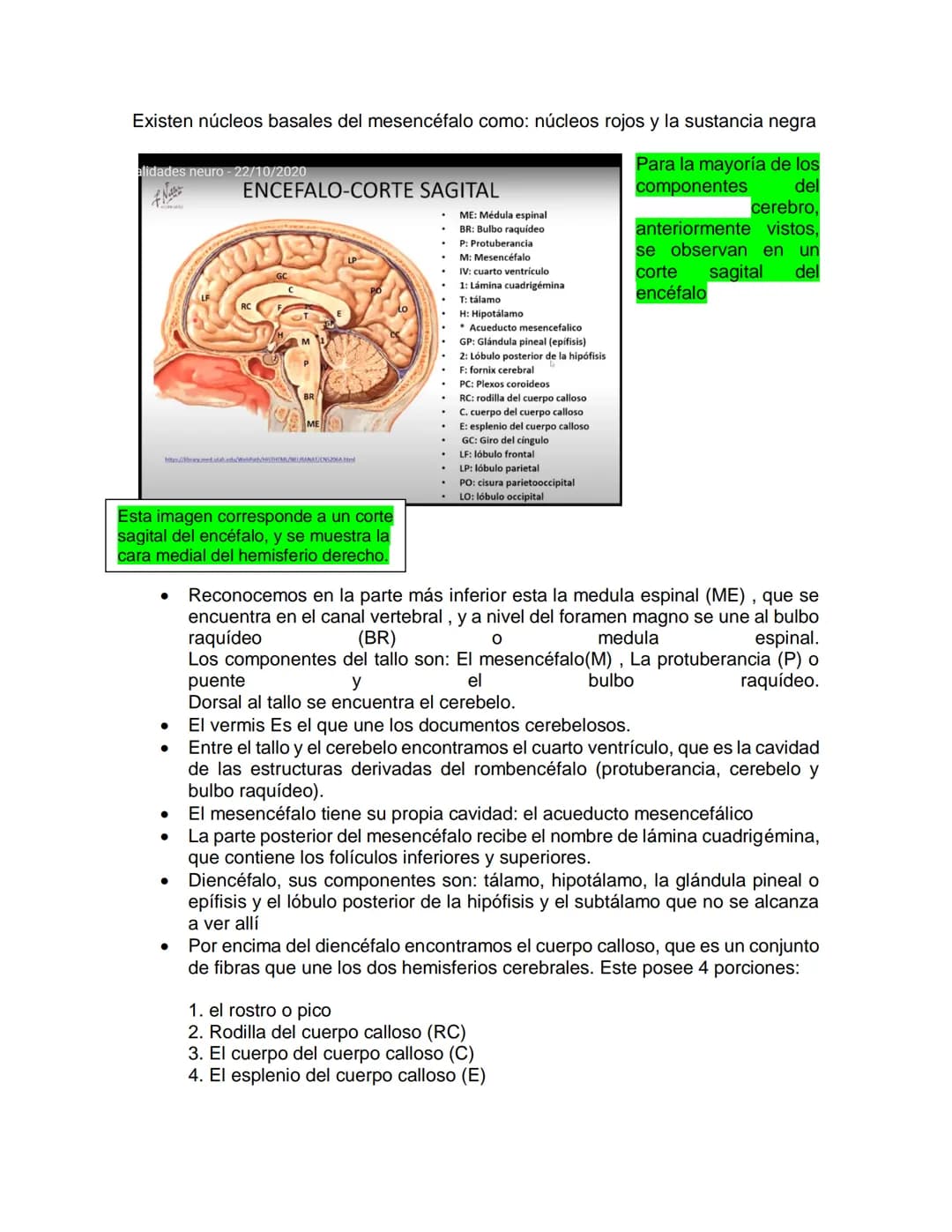 Sensory receptor
ORGANIZACIÓN DEL TEJIDO NERVIOSO
Sensory input
Integration
-Podemos partir de
unos principios de
organización general
del s