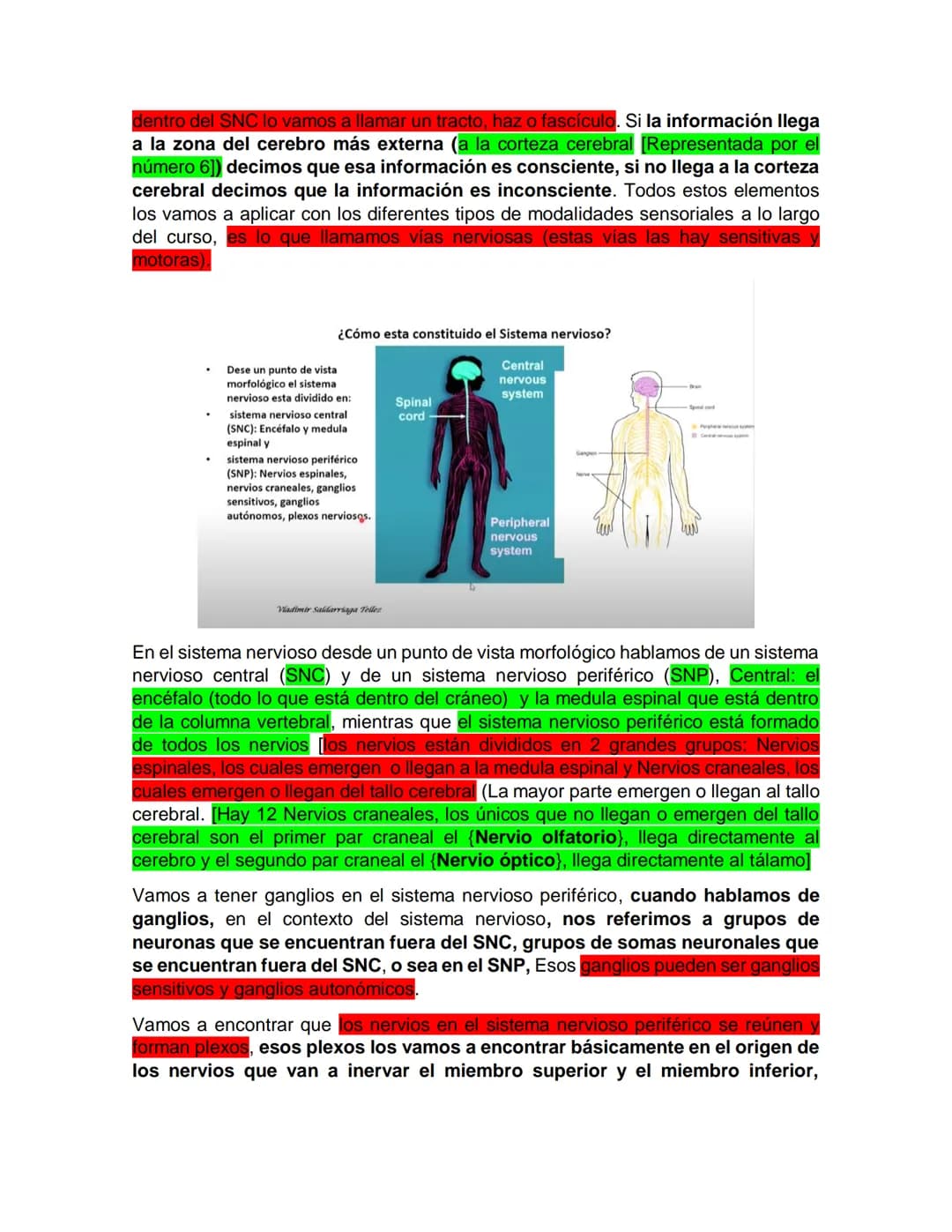 Sensory receptor
ORGANIZACIÓN DEL TEJIDO NERVIOSO
Sensory input
Integration
-Podemos partir de
unos principios de
organización general
del s