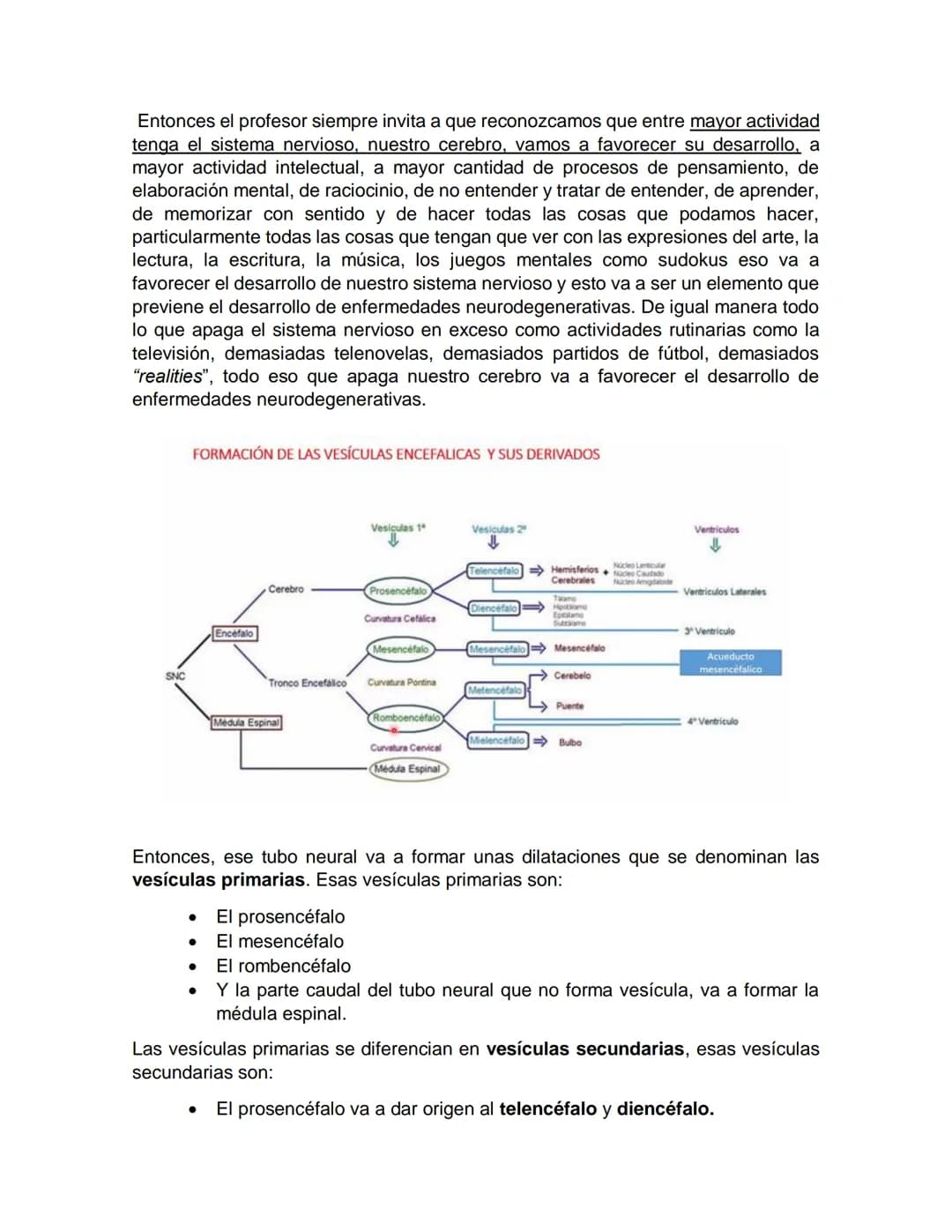 Sensory receptor
ORGANIZACIÓN DEL TEJIDO NERVIOSO
Sensory input
Integration
-Podemos partir de
unos principios de
organización general
del s