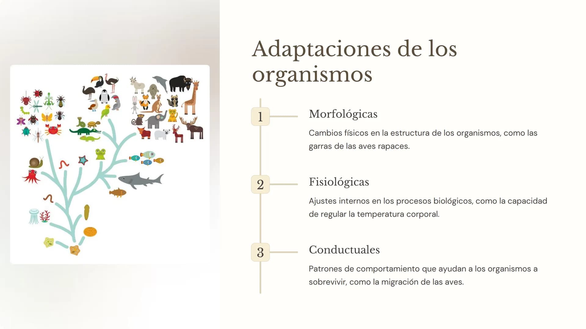 la ecología
La ecología es la ciencia que estudia las interacciones entre los
organismos y su entorno. Comprender los factores bióticos y
ab